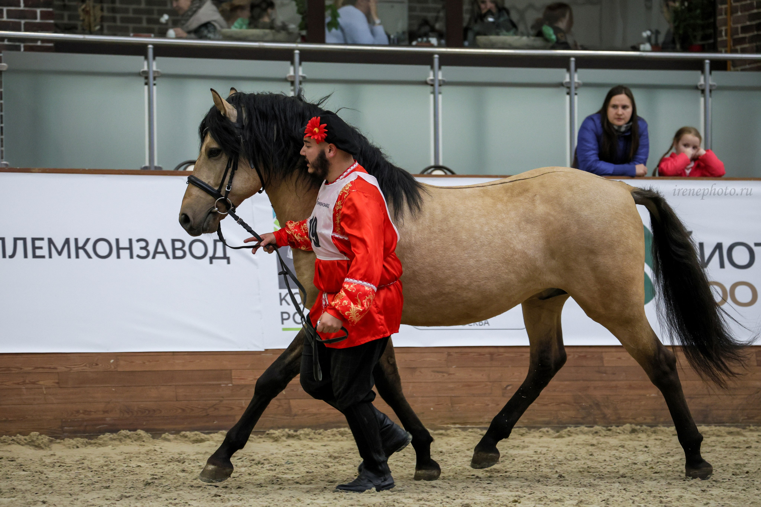Конная Россия 2024. Irenephoto.ru