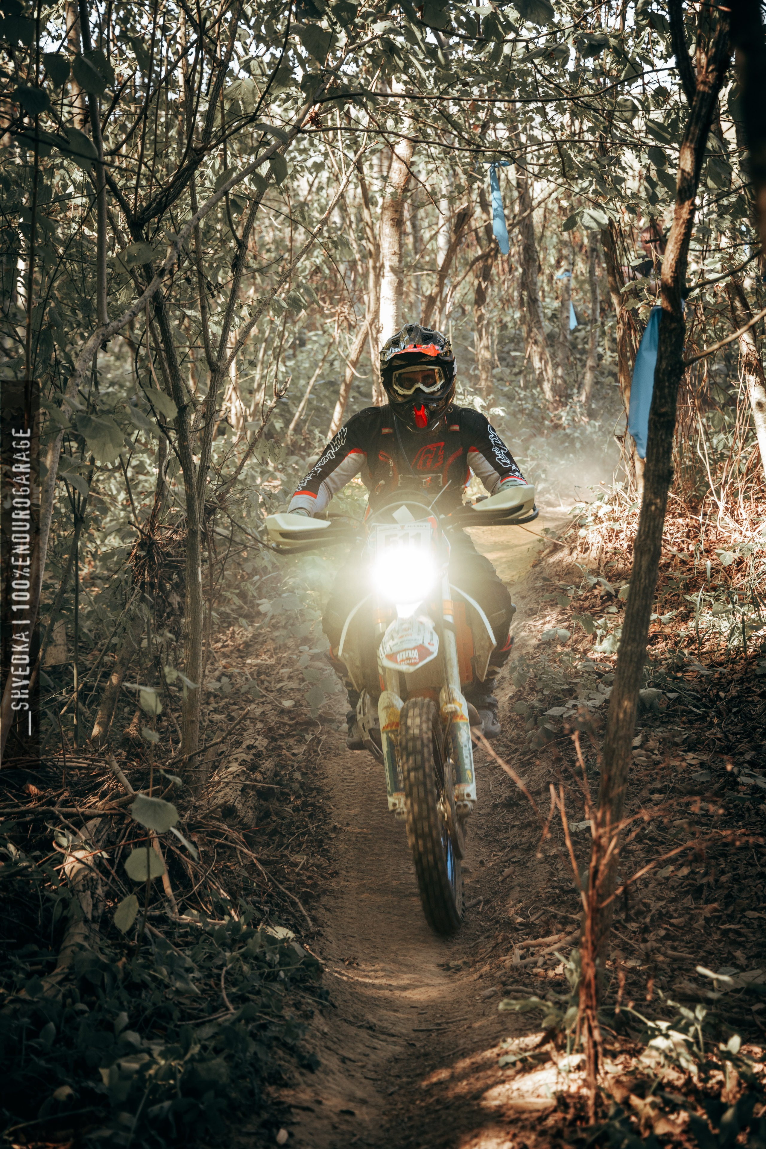 1 лесной день. Ваш экстрим фотограф Кудрева Яна