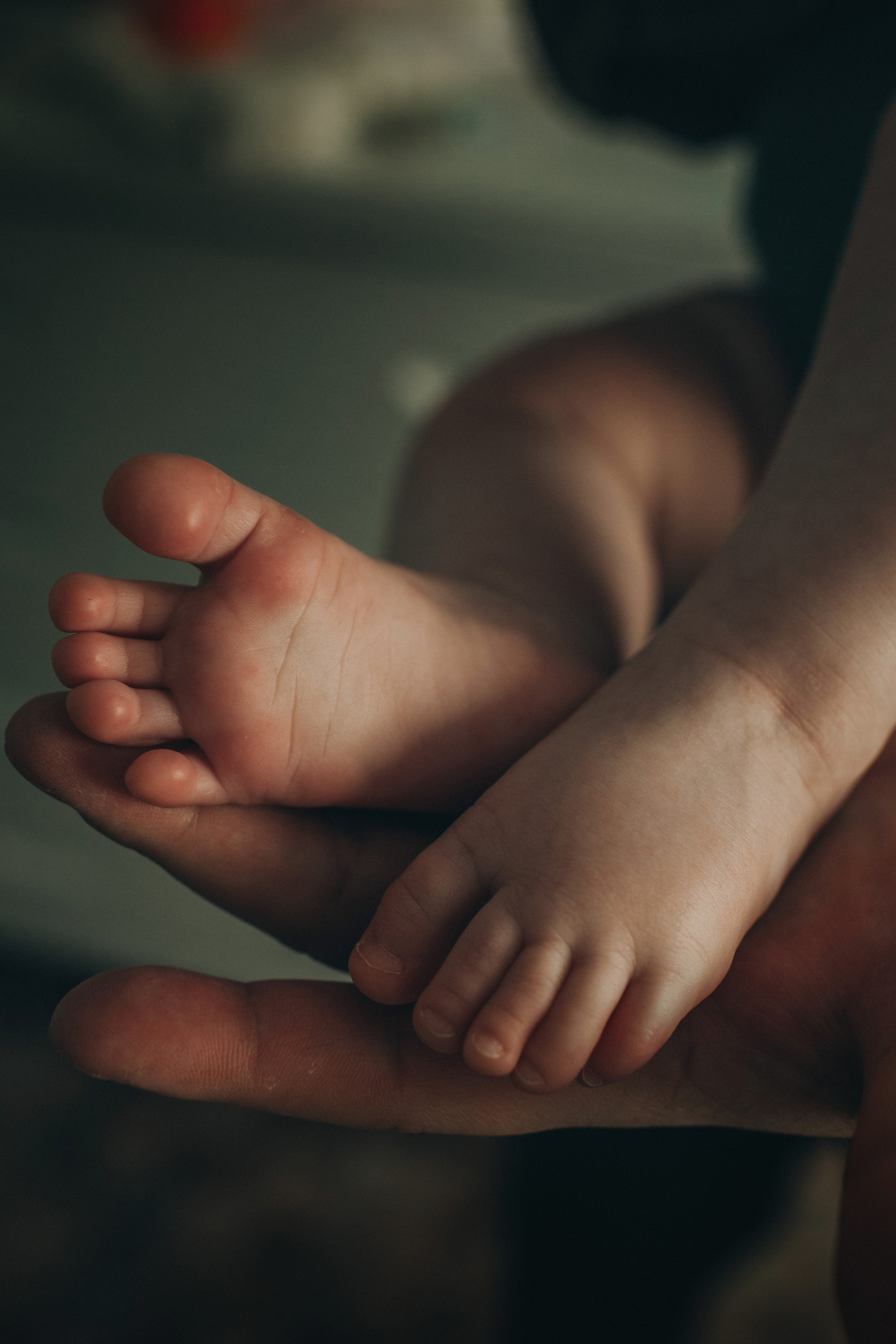 Поля, Оля, Коля. Семейный фотограф Томск