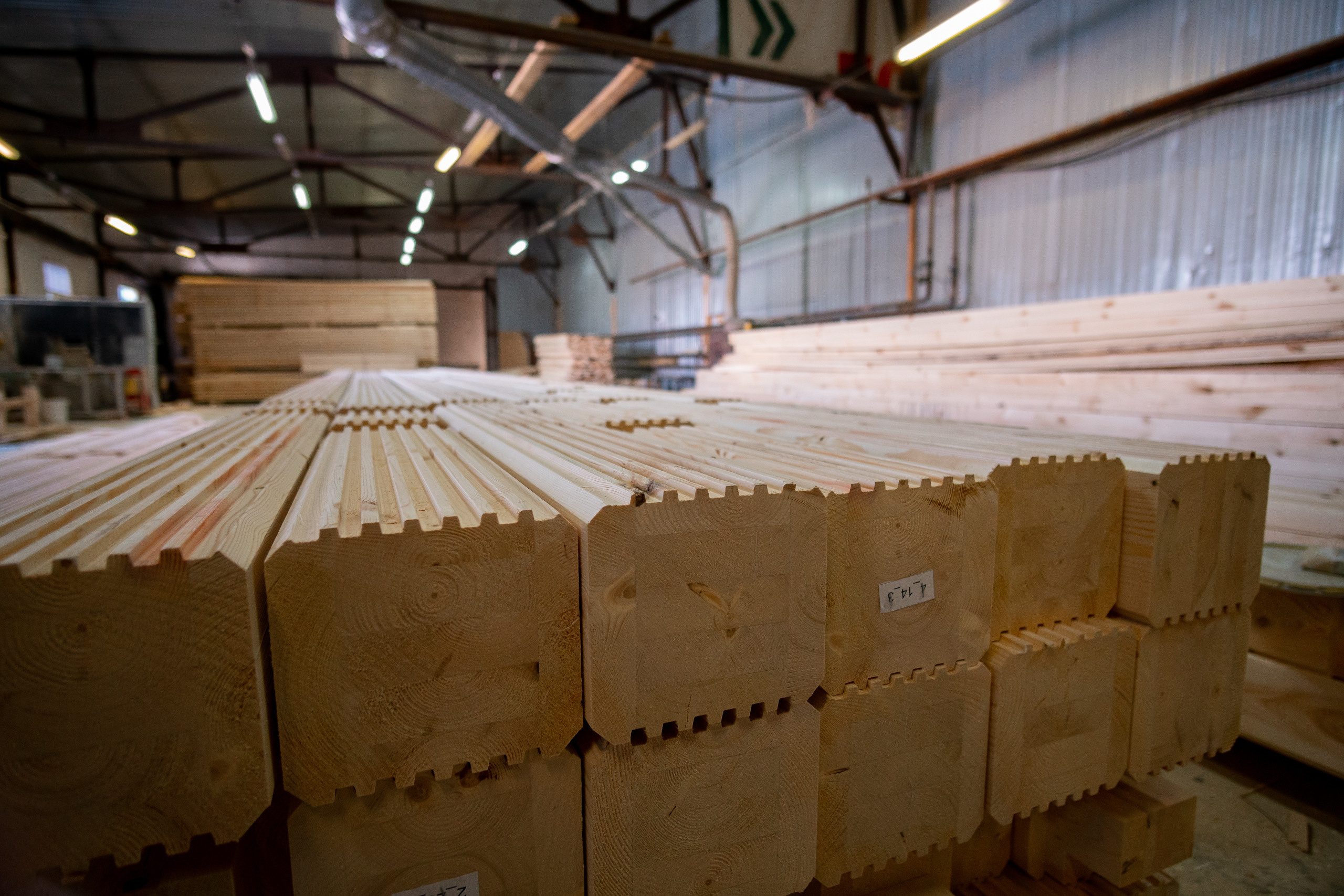 Фоторепортаж. Фотосъемка и видеосъемка в Архангельске