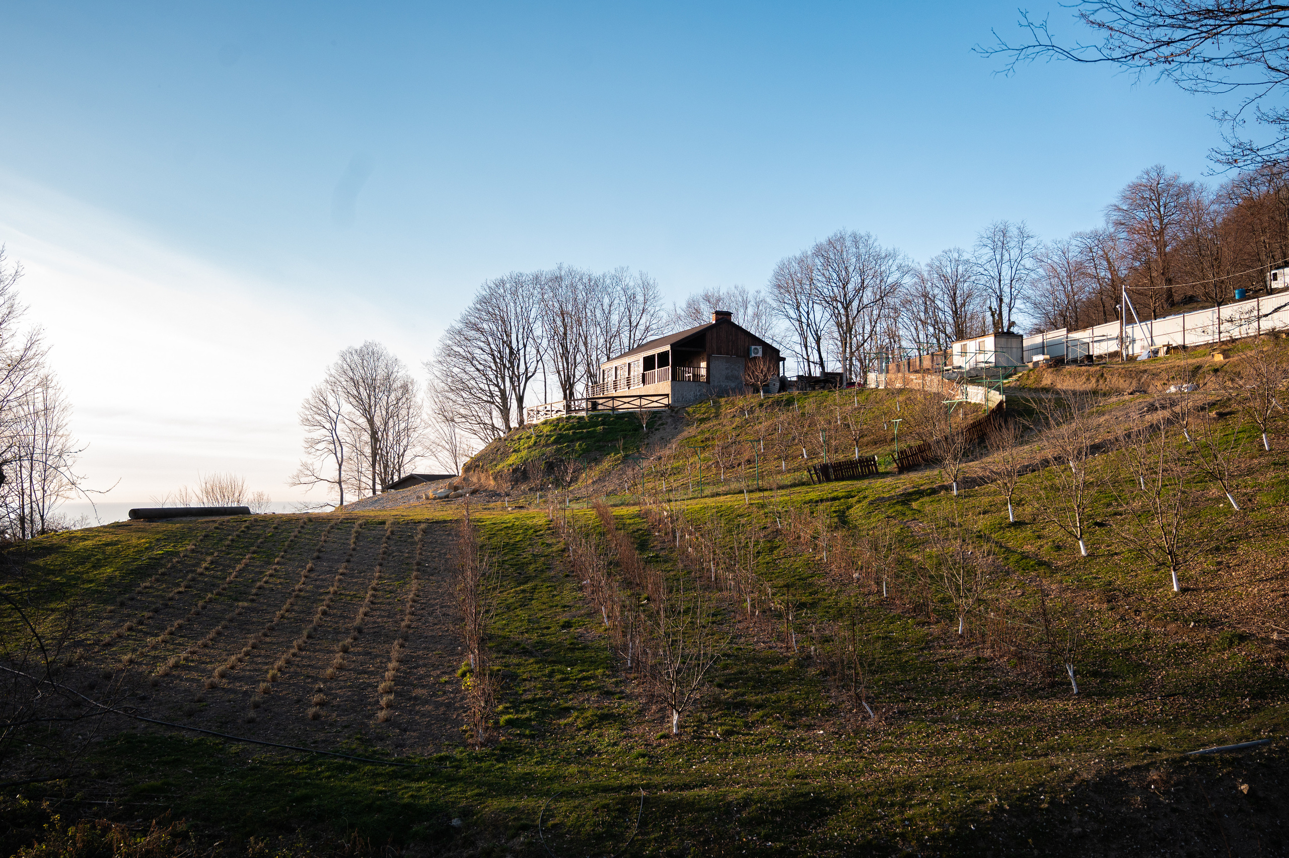 Экстерьер. Свадебный и семейный фотограф в Сочи Никита Пищов