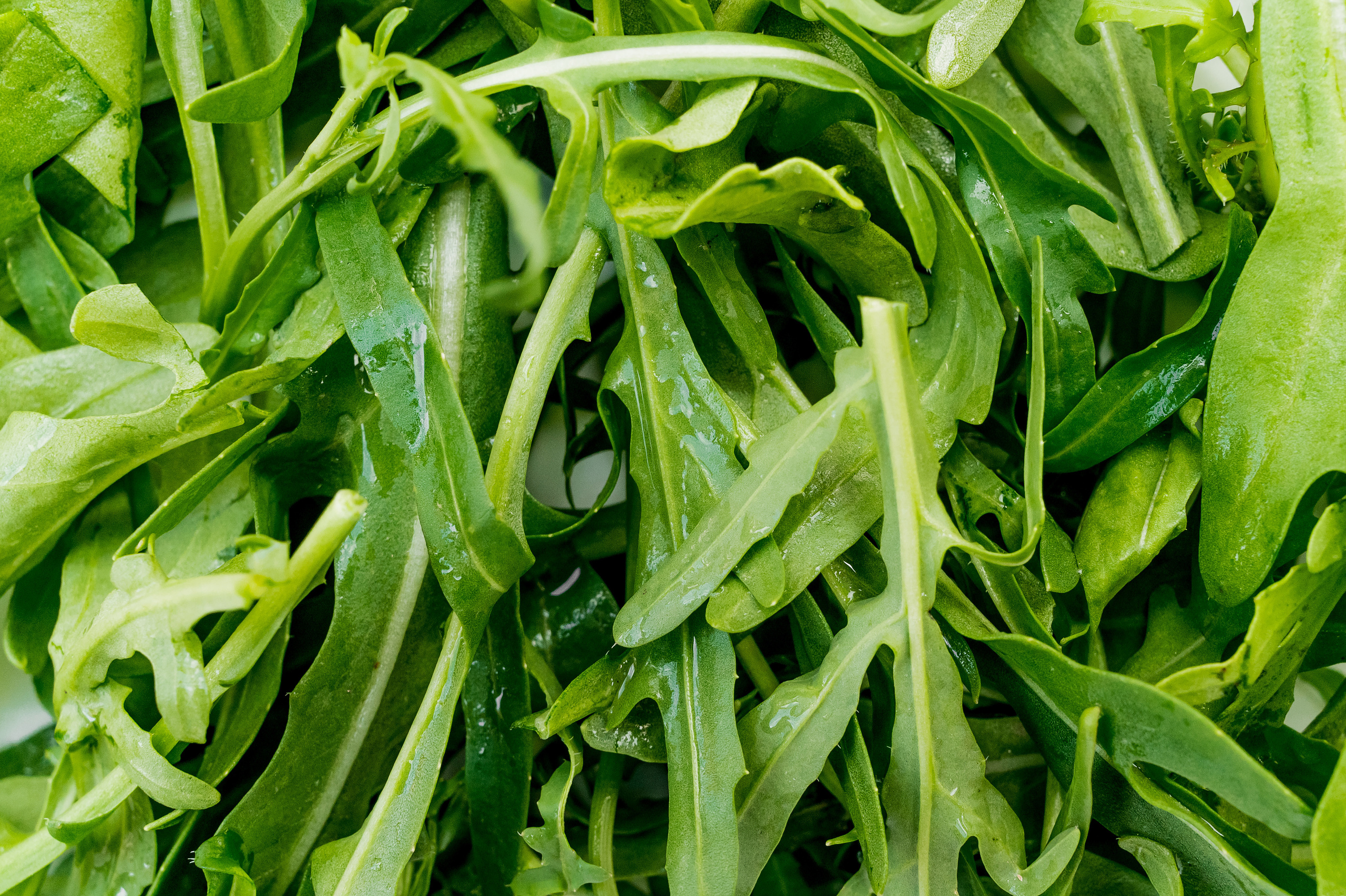 Trattoria540. Свадебный и семейный фотограф в Сочи Никита Пищов