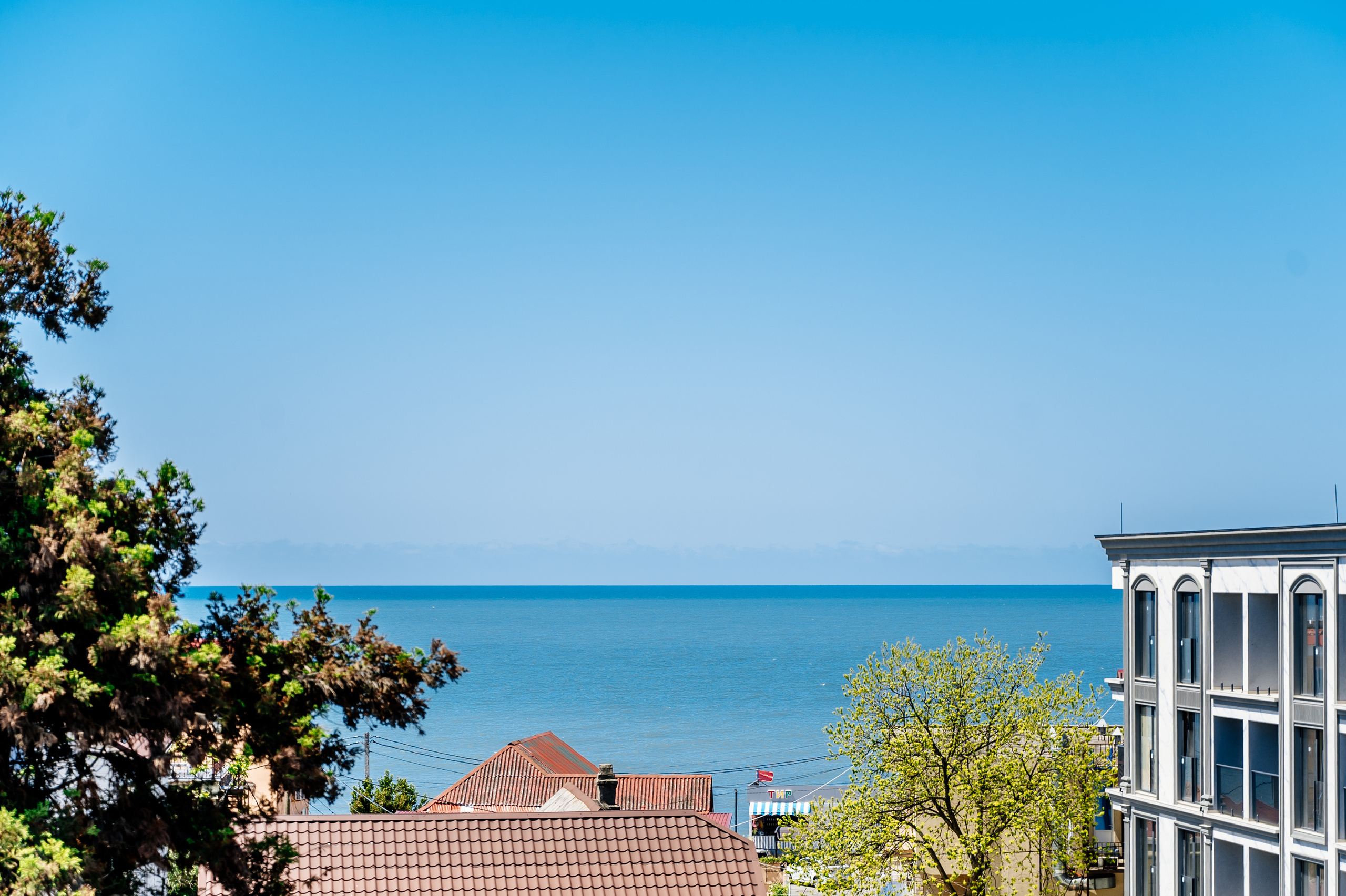 Экстерьер. Свадебный и семейный фотограф в Сочи Никита Пищов