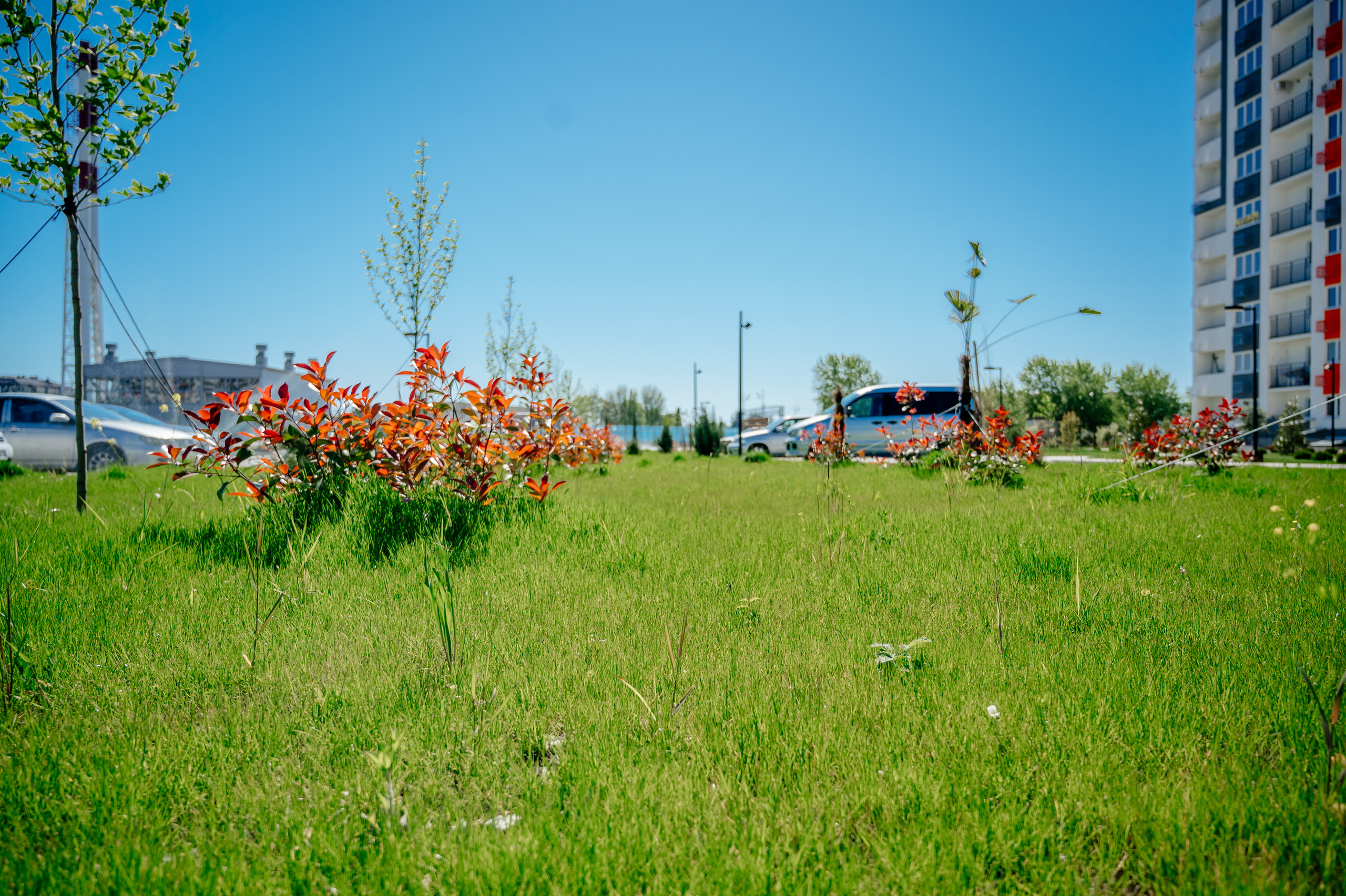 NEOROOM SERVICE. Свадебный и семейный фотограф в Сочи Никита Пищов