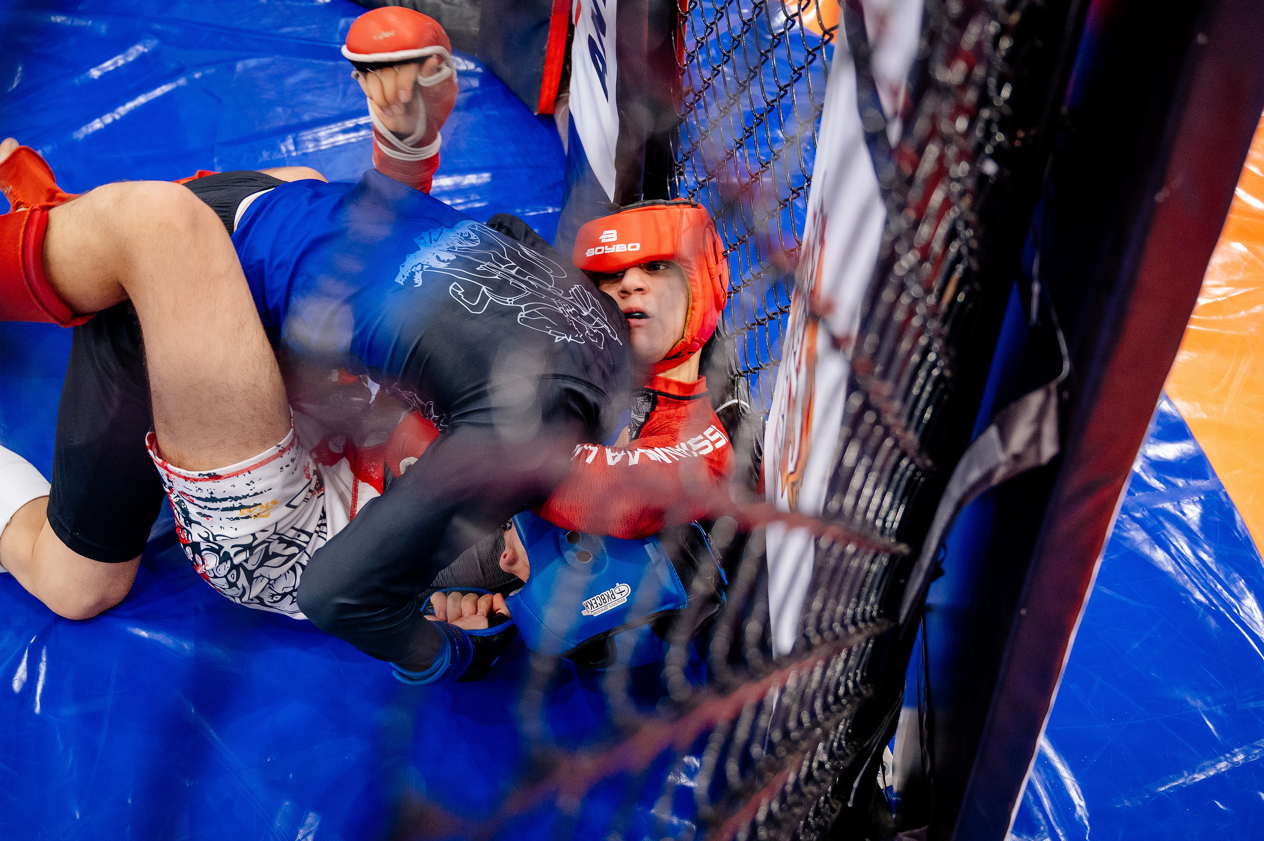 Чемпионат по смешанному боевому единоборству ММА. Свадебный и семейный фотограф в Сочи Никита Пищов