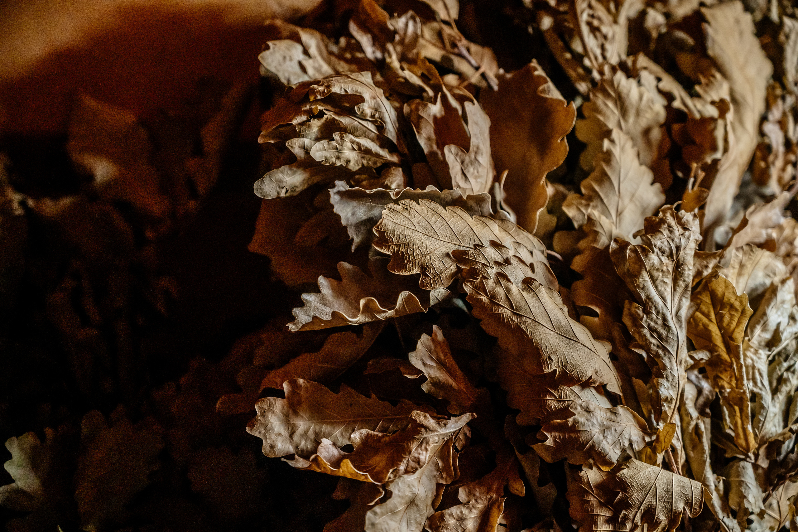 ECO SUITE. Свадебный и семейный фотограф в Сочи Никита Пищов