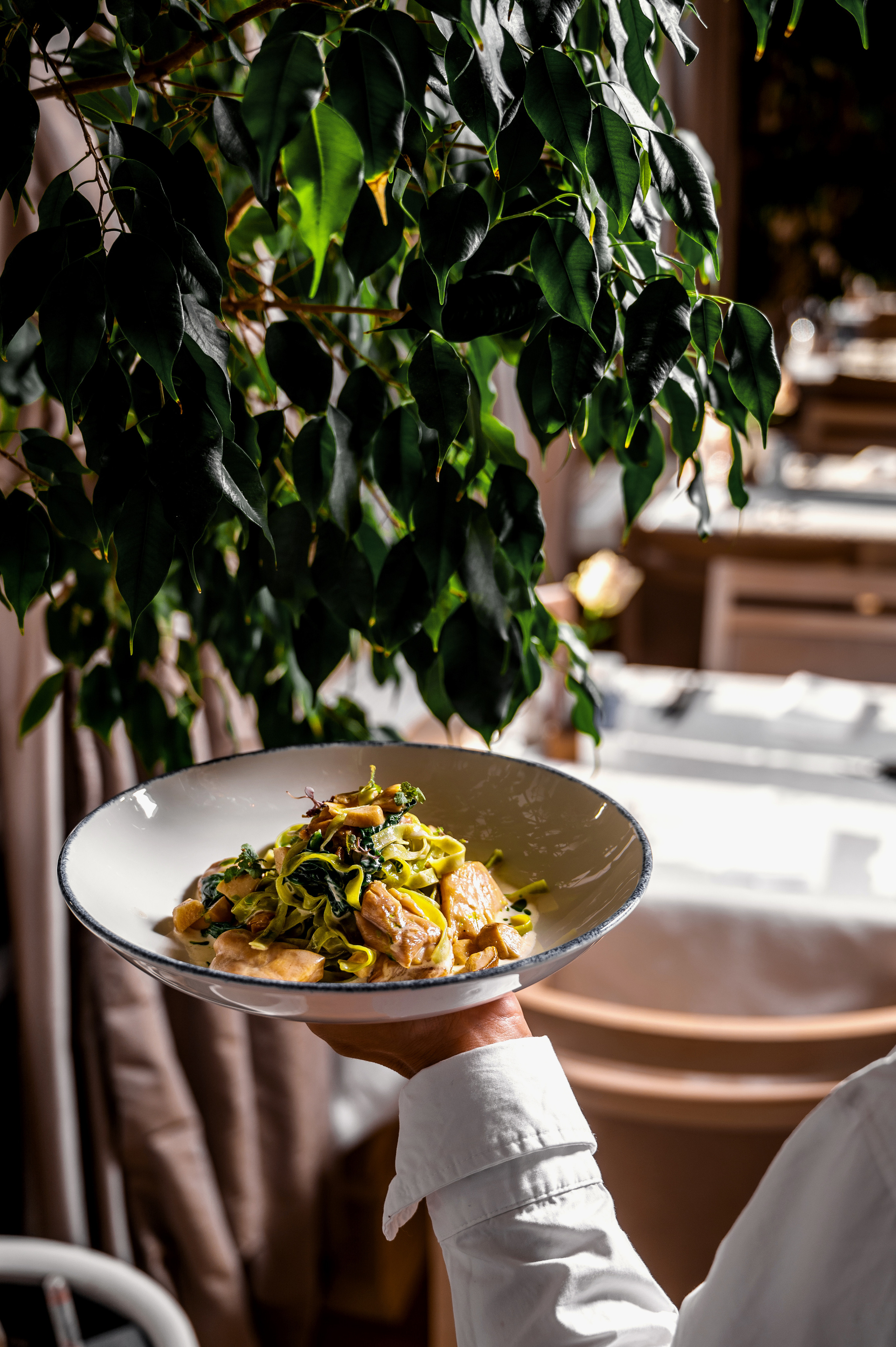 Фуд фото ресторана. Свадебный и семейный фотограф в Сочи Никита Пищов