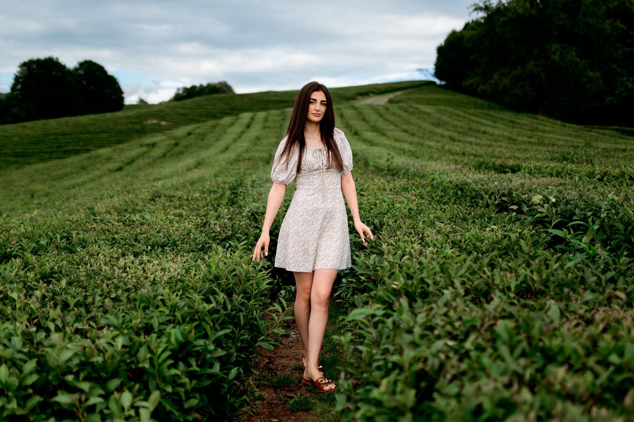 Женская фотосессия на Чайных плантациях. Свадебный и семейный фотограф в Сочи Никита Пищов
