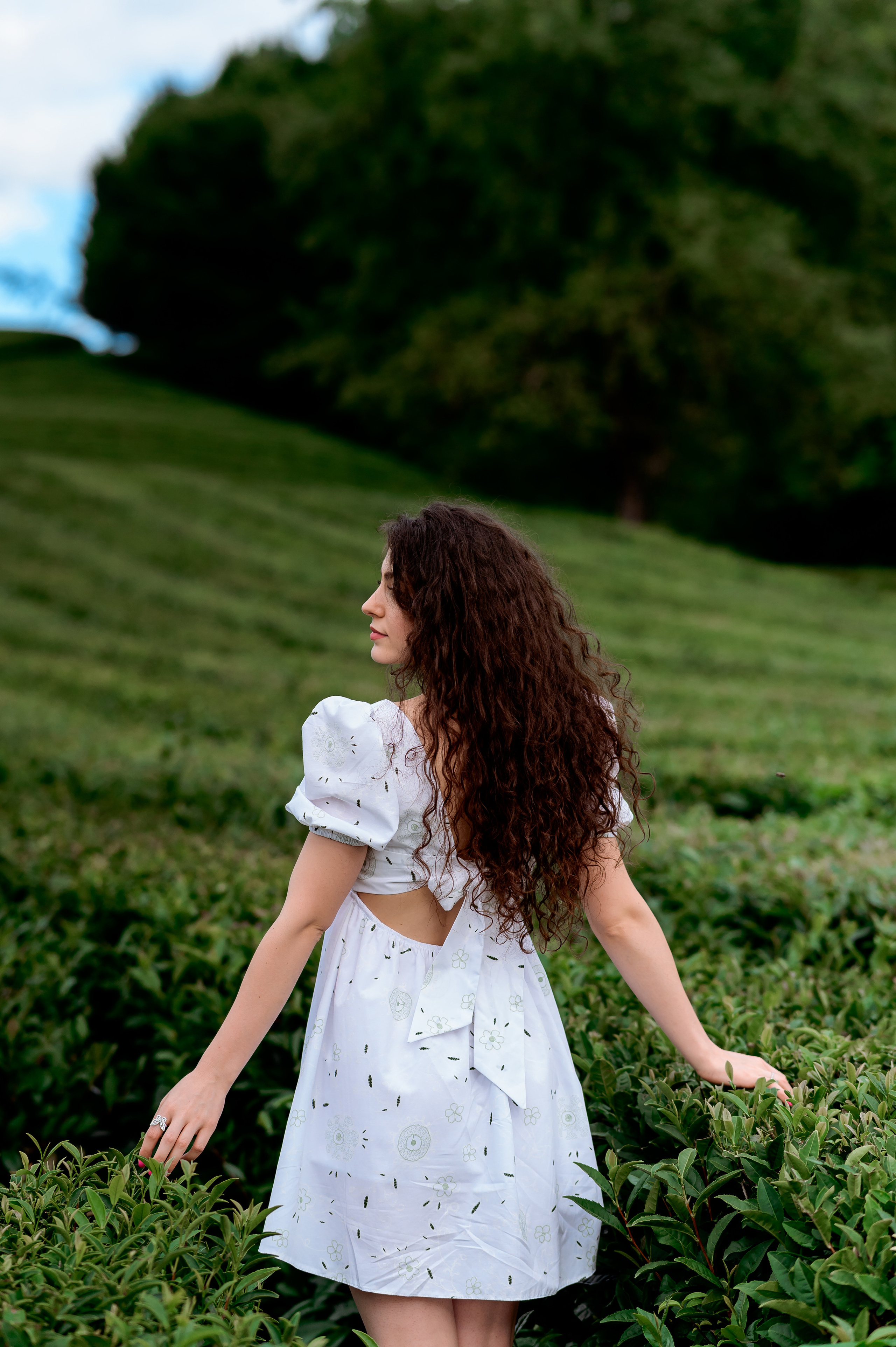 Женская фотосессия на Чайных плантациях. Свадебный и семейный фотограф в Сочи Никита Пищов
