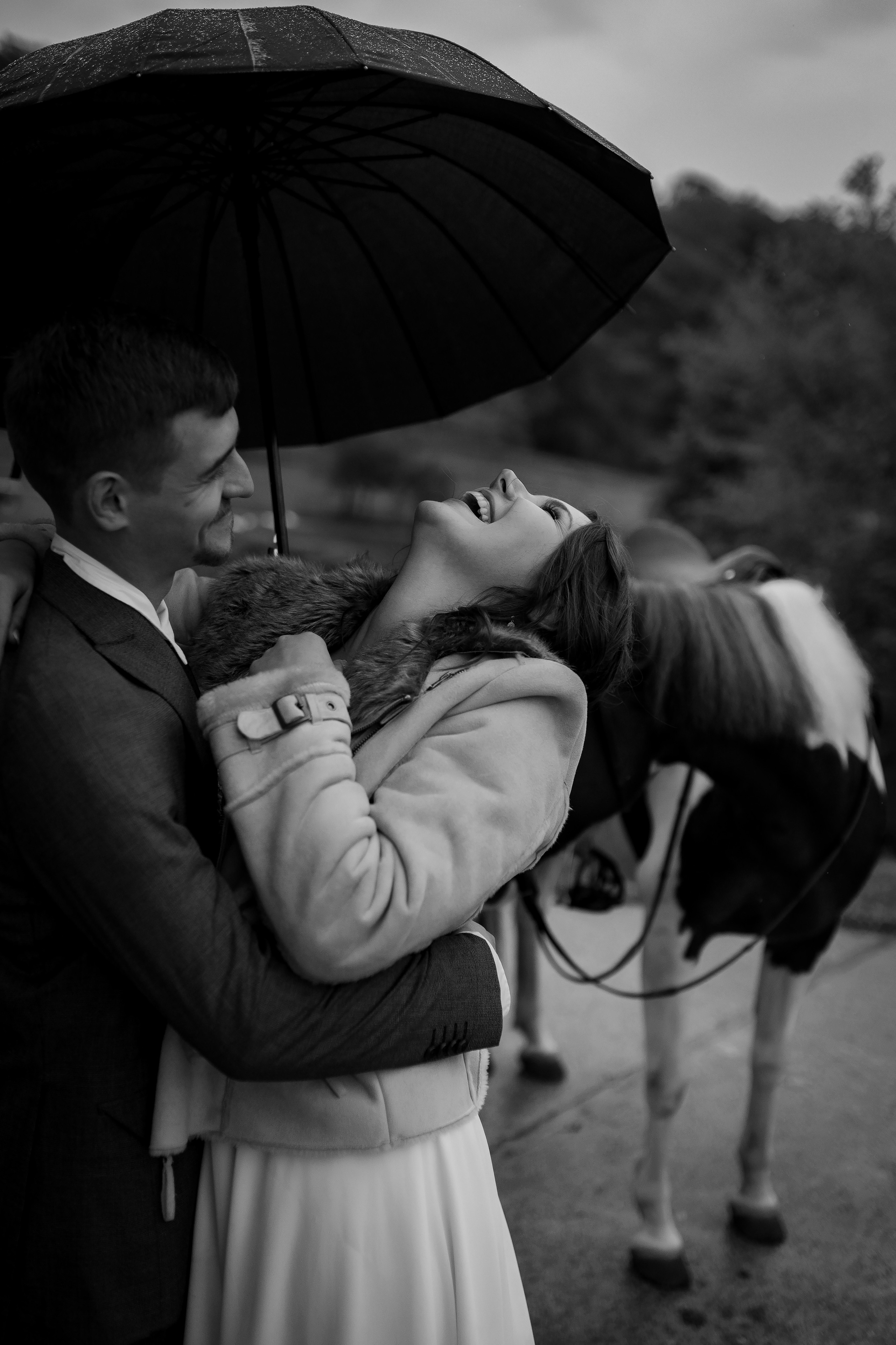 Свадьба на ферме «Экзархо». Свадебный и семейный фотограф в Сочи Никита Пищов