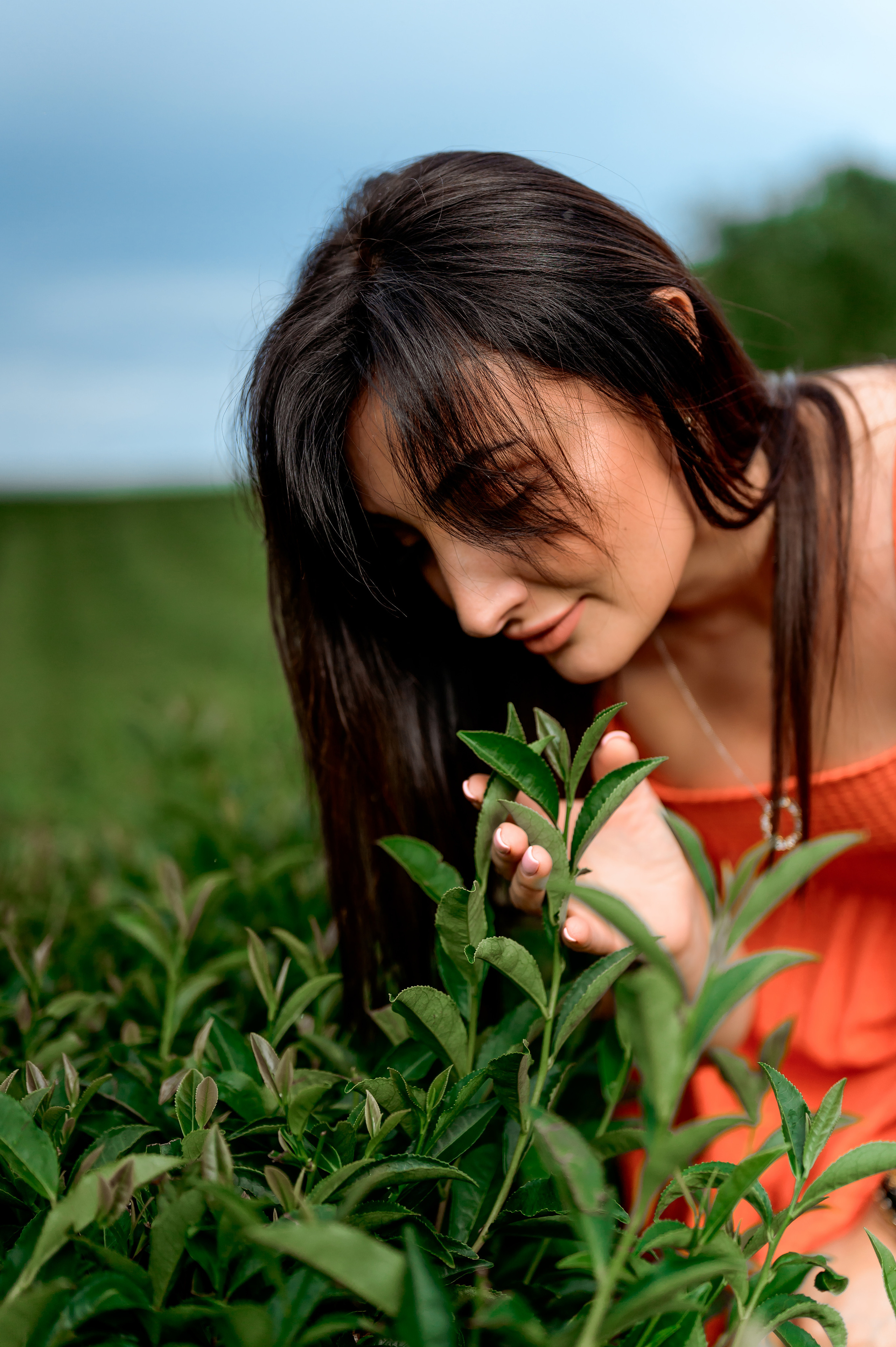 Женская фотосессия на Чайных плантациях. Свадебный и семейный фотограф в Сочи Никита Пищов
