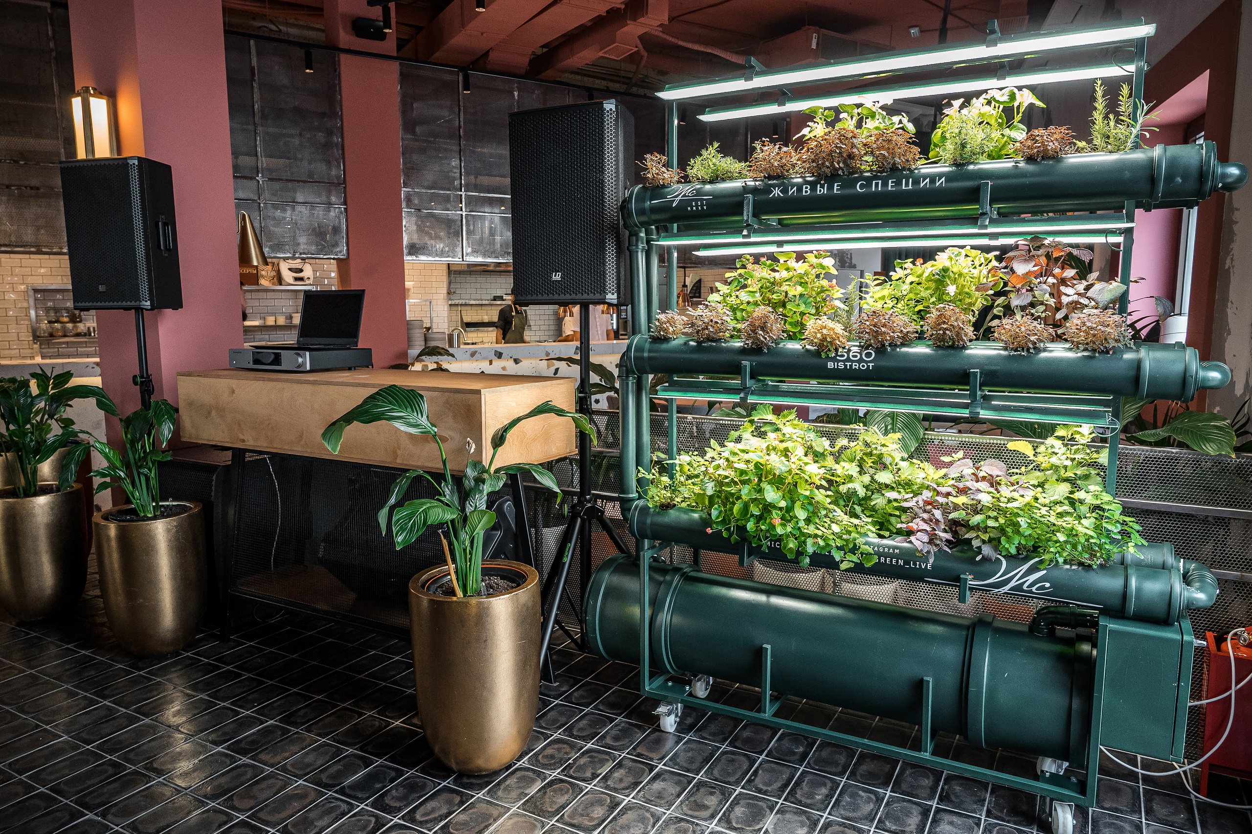 Интерьер. Свадебный и семейный фотограф в Сочи Никита Пищов