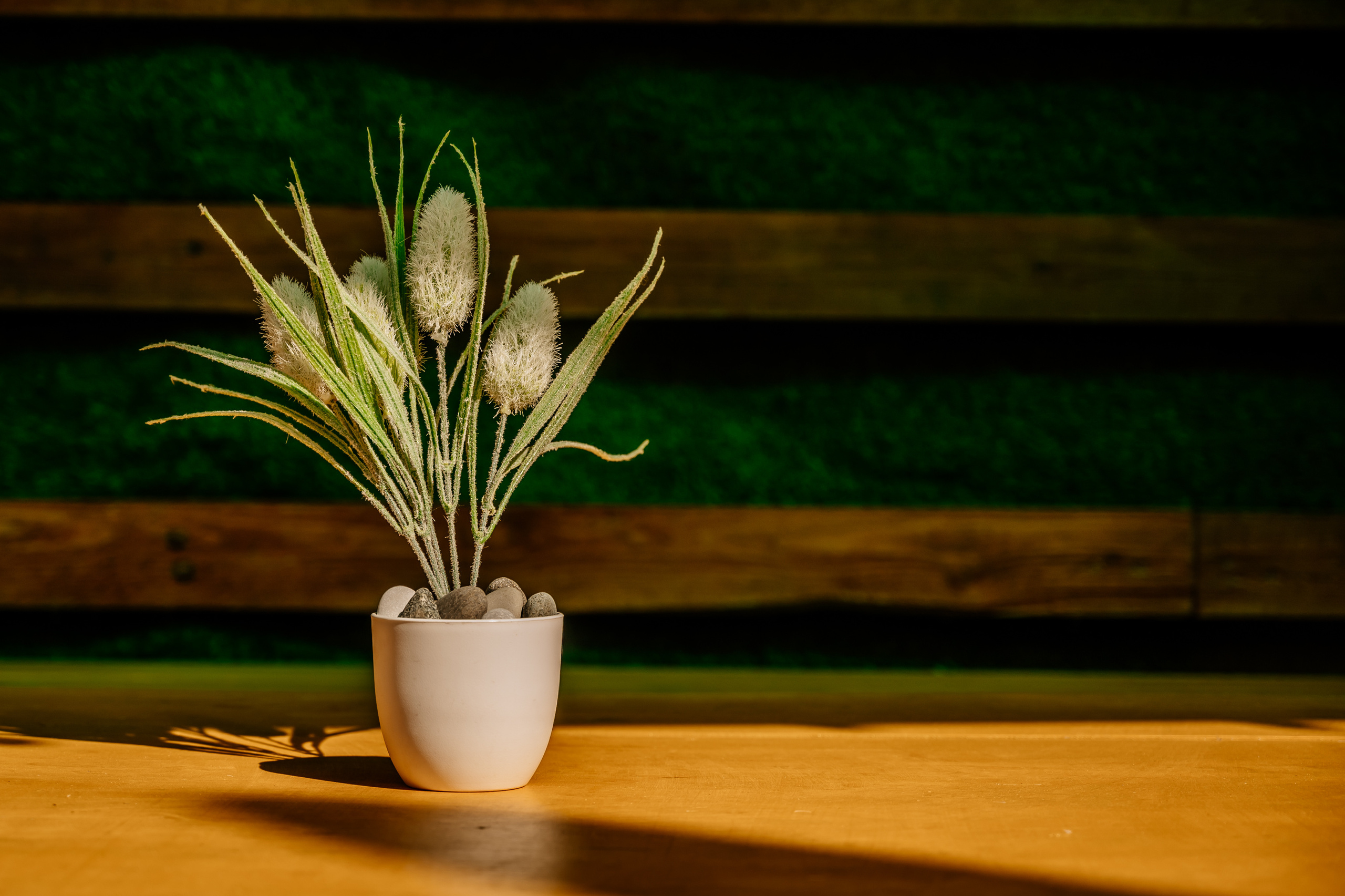 ECO SUITE. Свадебный и семейный фотограф в Сочи Никита Пищов