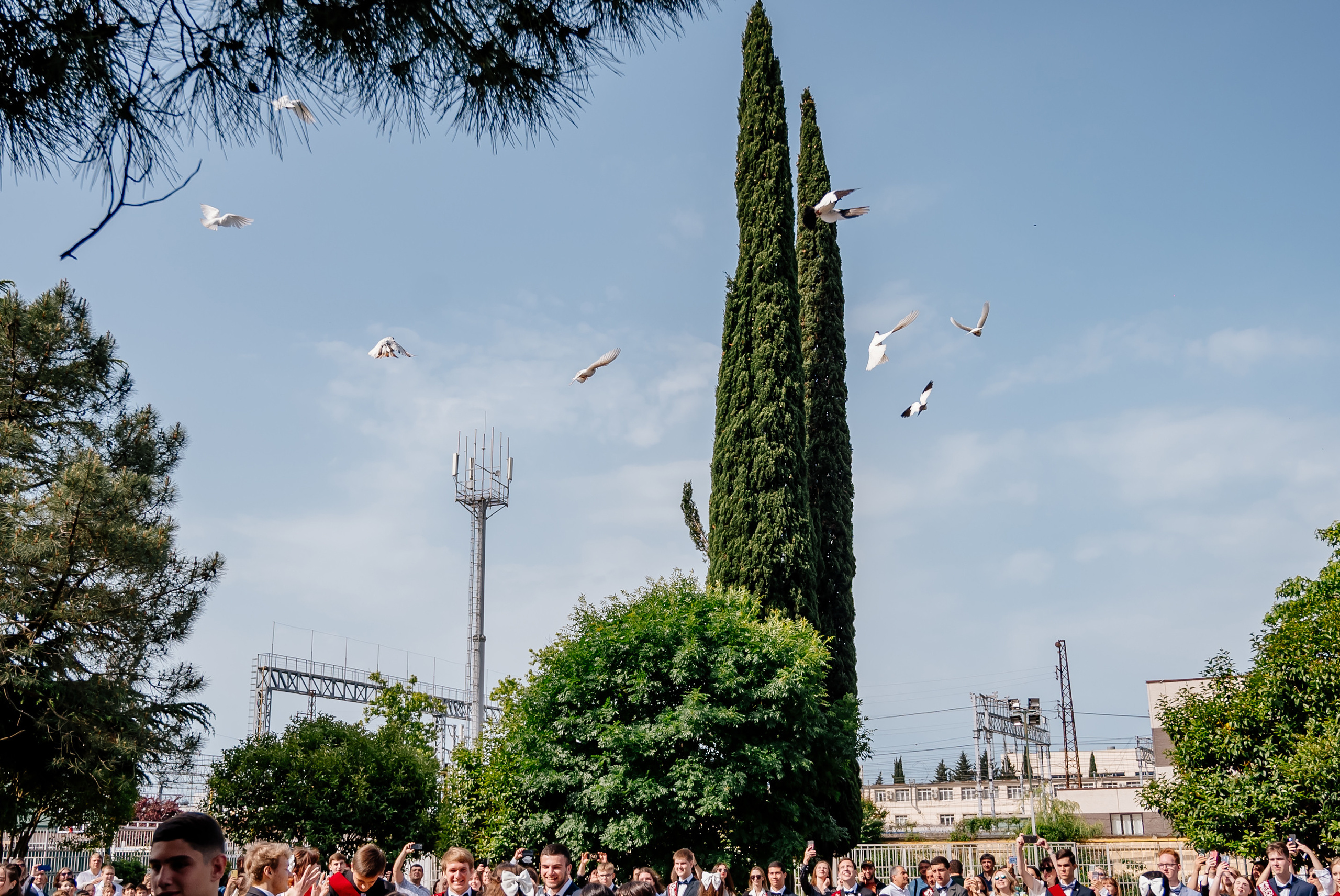 Последний звонок 2023. Свадебный и семейный фотограф в Сочи Никита Пищов