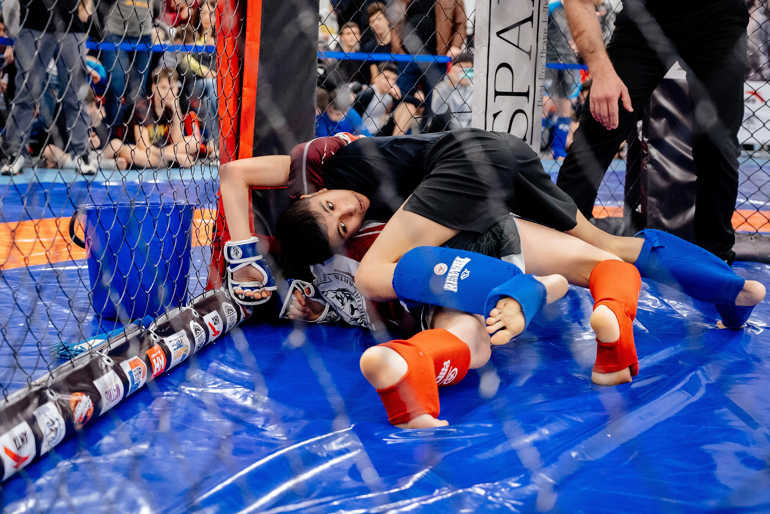 Чемпионат по смешанному боевому единоборству ММА. Свадебный и семейный фотограф в Сочи Никита Пищов