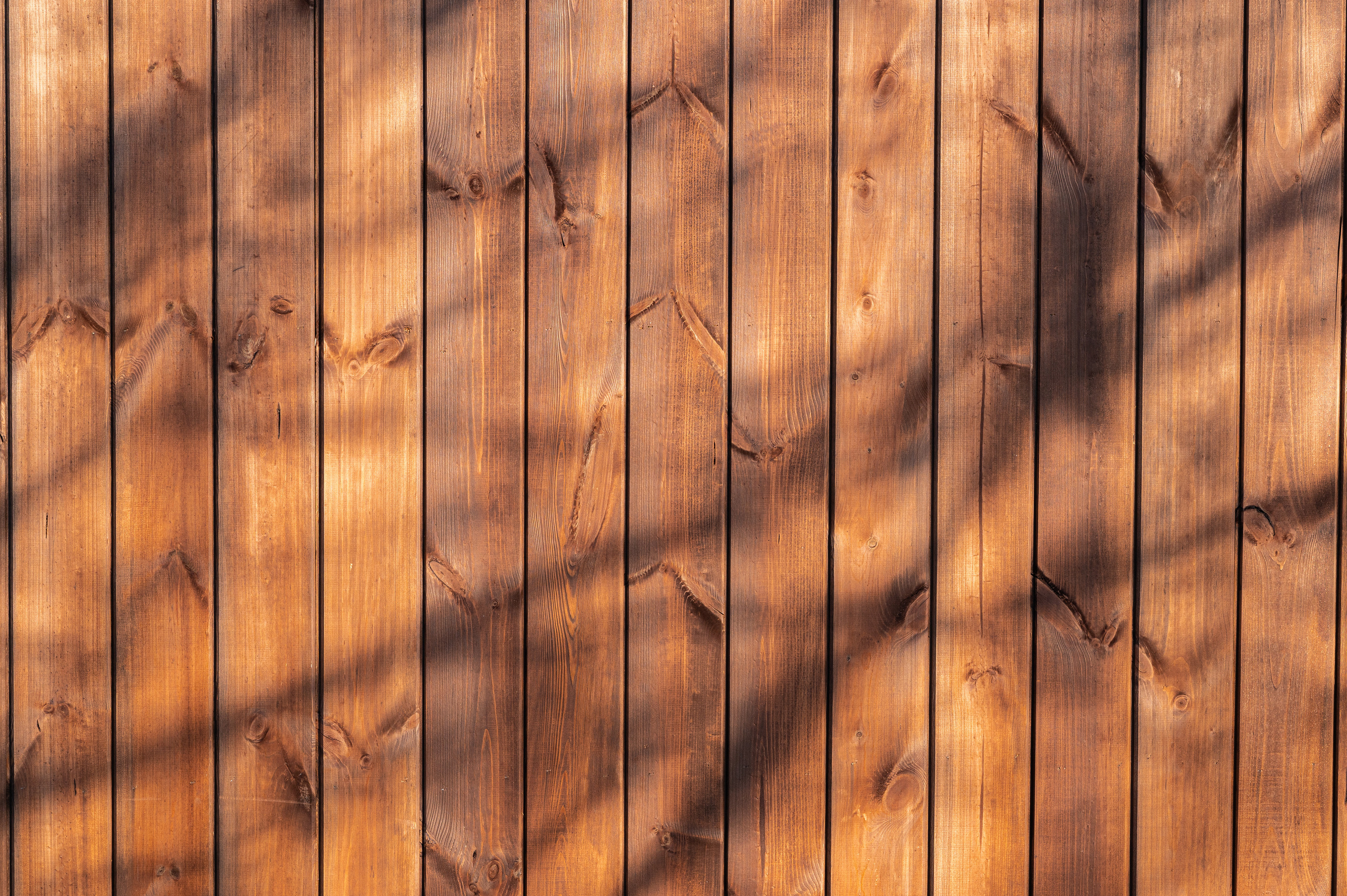 Экстерьер. Свадебный и семейный фотограф в Сочи Никита Пищов