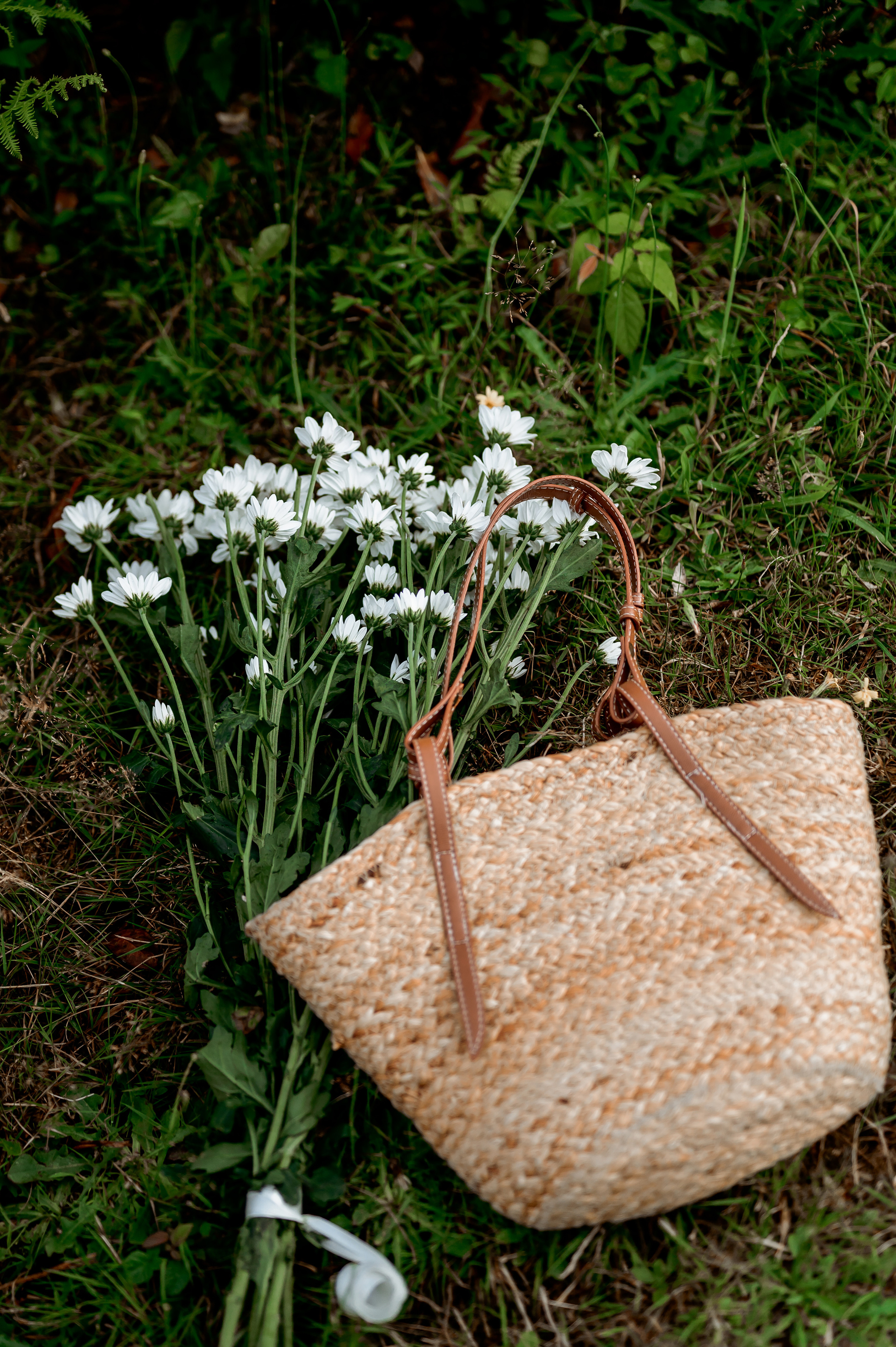 Женская фотосессия на Чайных плантациях. Свадебный и семейный фотограф в Сочи Никита Пищов