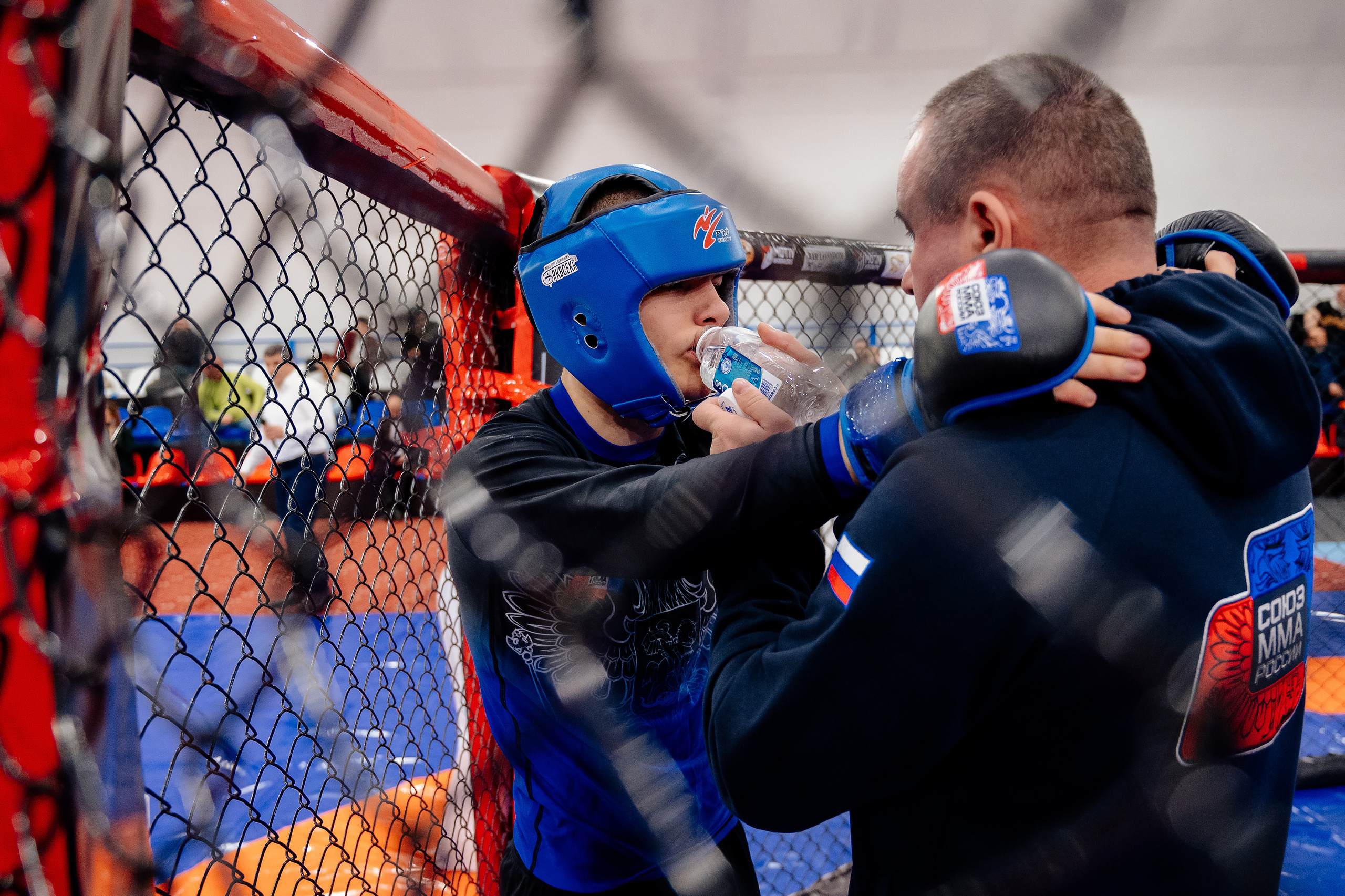 Чемпионат по смешанному боевому единоборству ММА. Свадебный и семейный фотограф в Сочи Никита Пищов