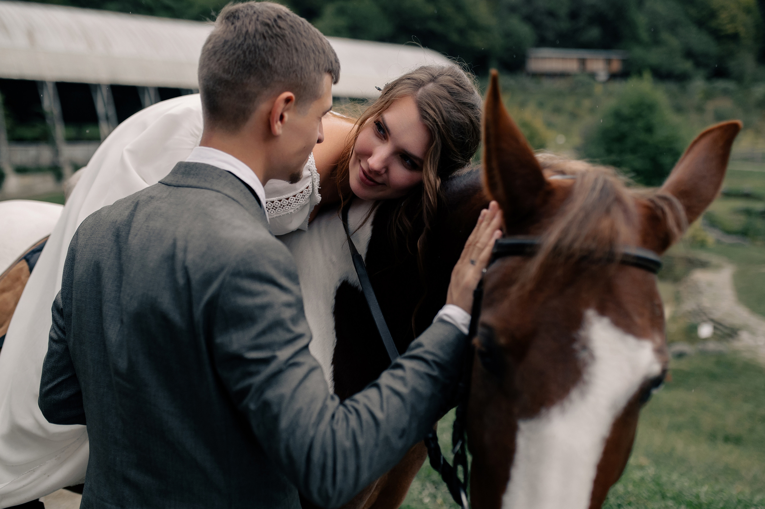 Свадьба на ферме «Экзархо». Свадебный и семейный фотограф в Сочи Никита Пищов