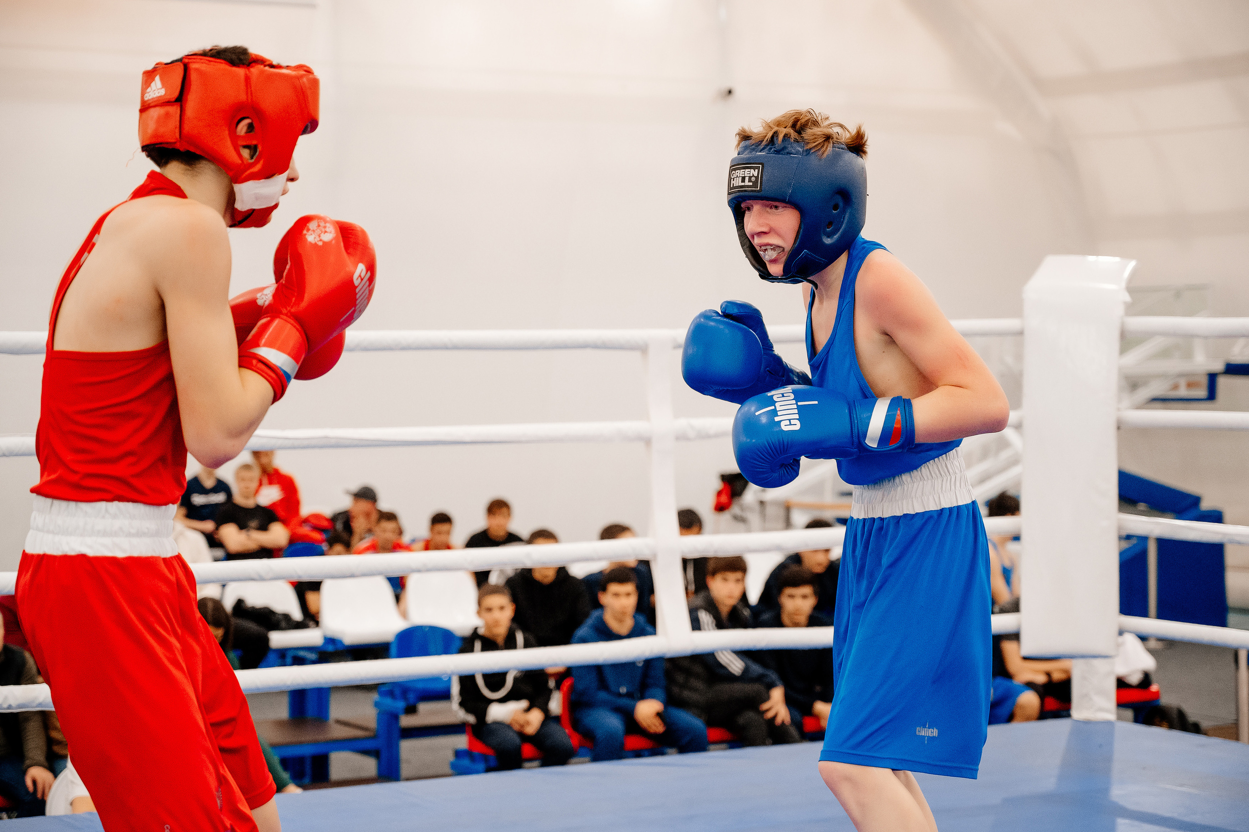 Турнир по боксу. Свадебный и семейный фотограф в Сочи Никита Пищов