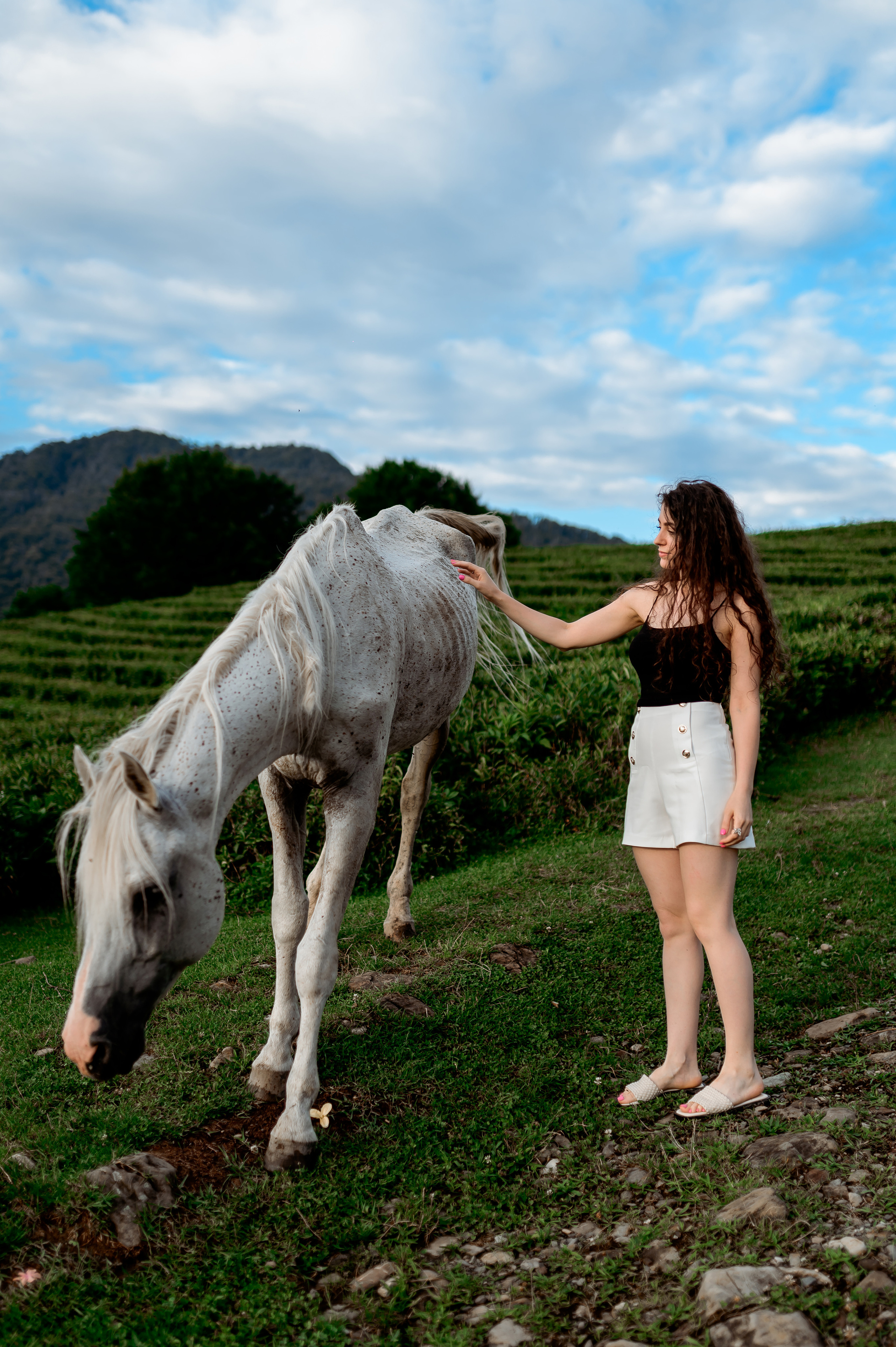 Женская фотосессия на Чайных плантациях. Свадебный и семейный фотограф в Сочи Никита Пищов
