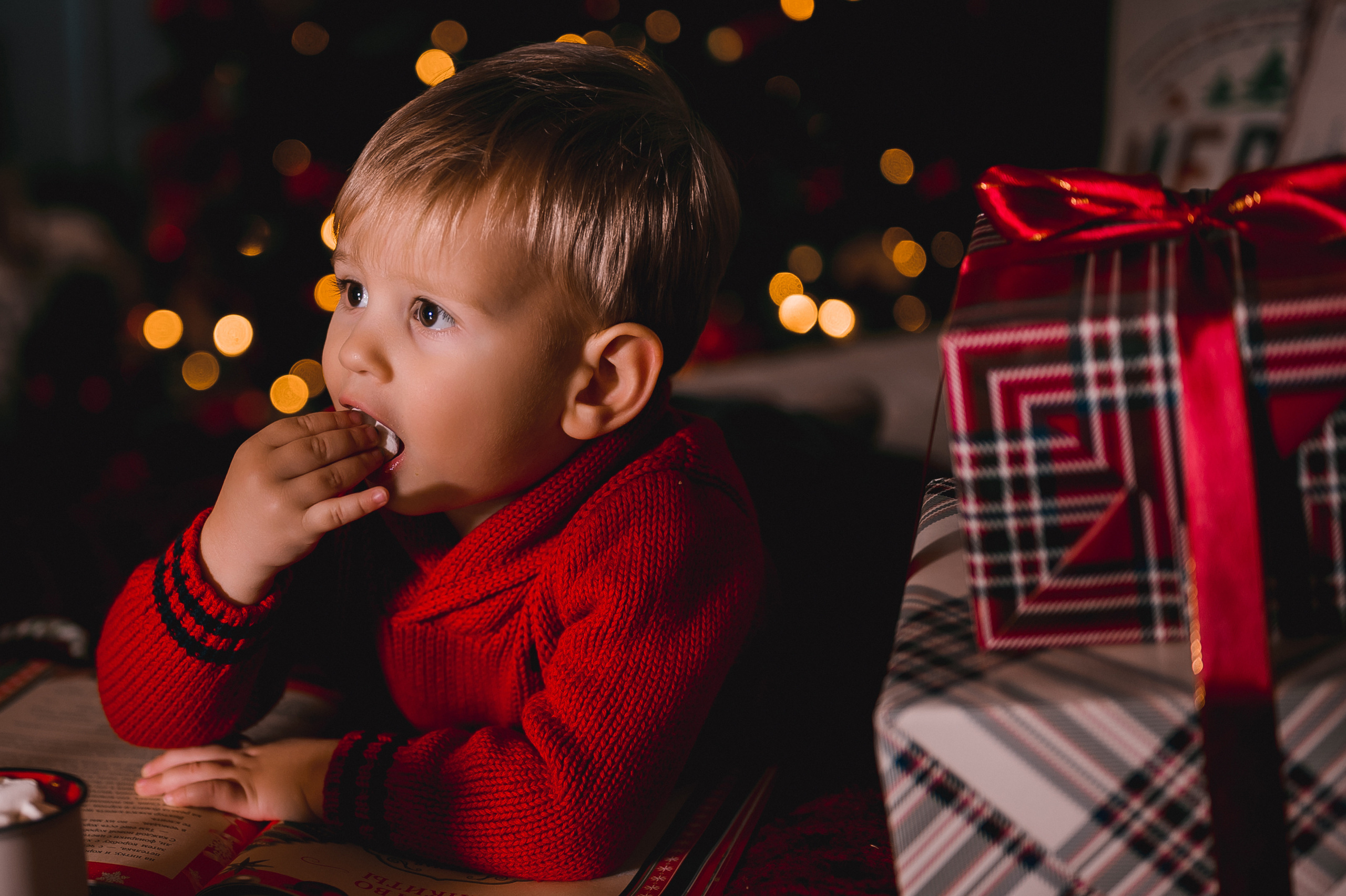 Новогодняя фотосессия. Свадебный и семейный фотограф в Сочи Никита Пищов