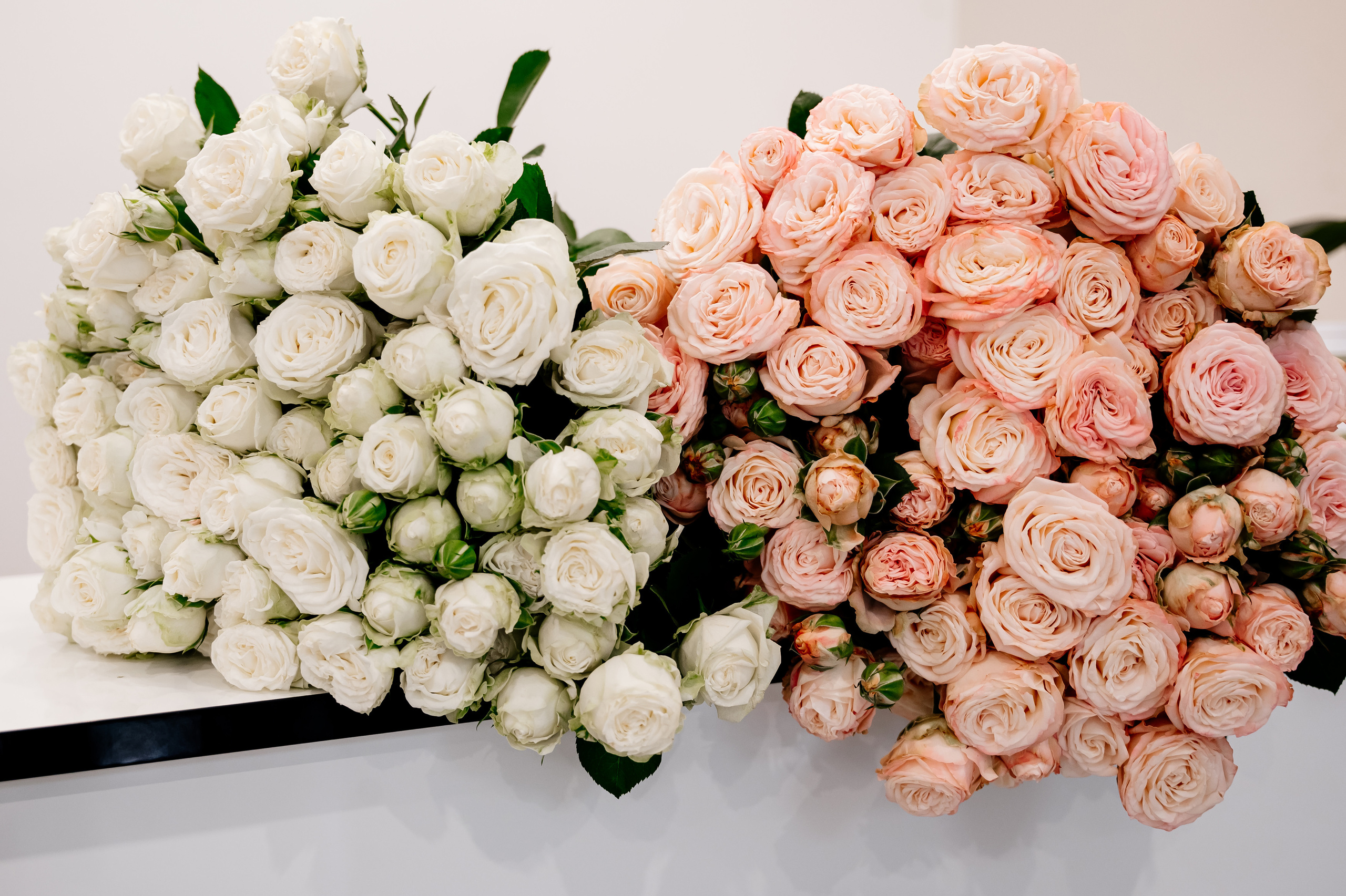 Клиника восстановительной медицины «BIORISE» | Открытие. Свадебный и семейный фотограф в Сочи Никита Пищов