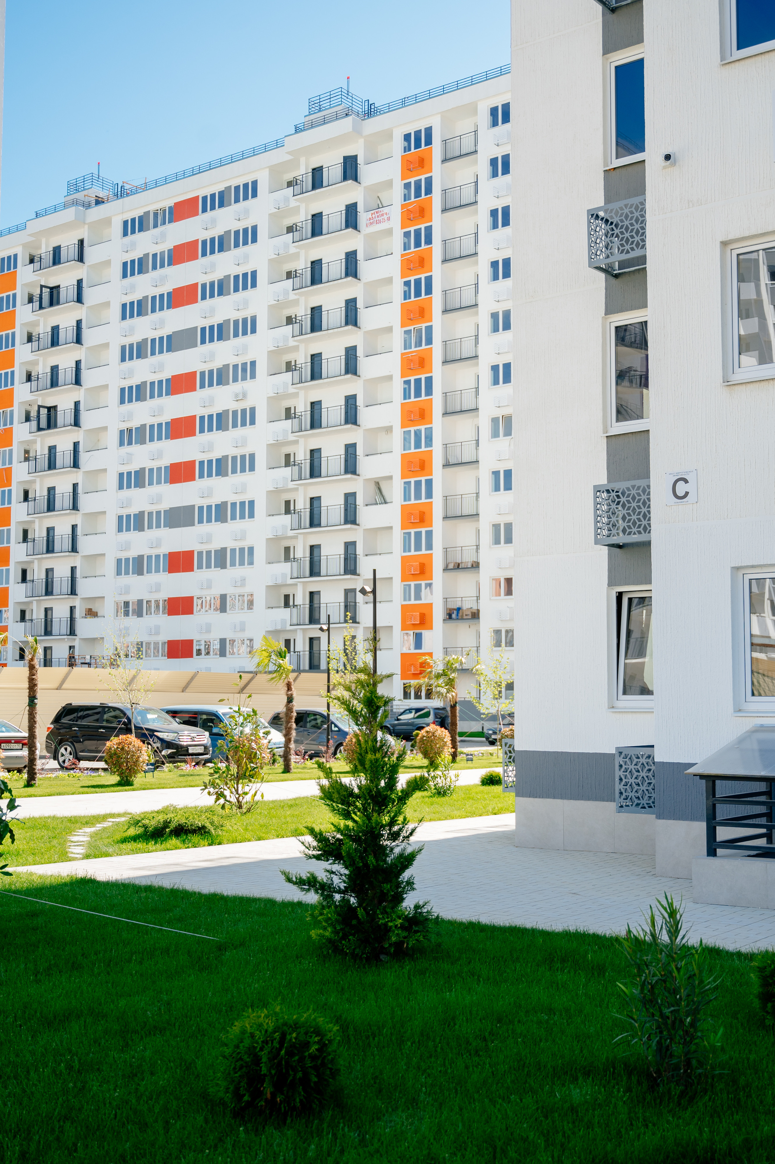 NEOROOM SERVICE. Свадебный и семейный фотограф в Сочи Никита Пищов