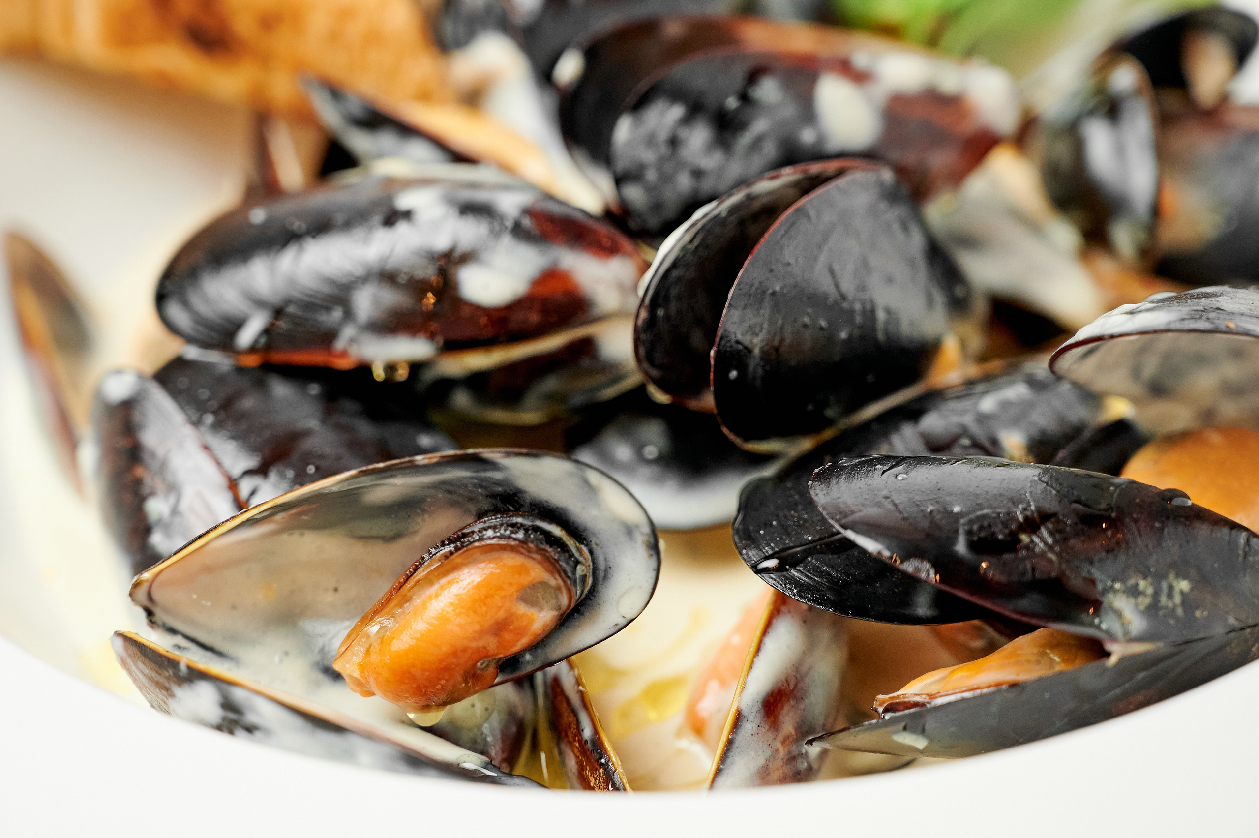 Trattoria540. Свадебный и семейный фотограф в Сочи Никита Пищов