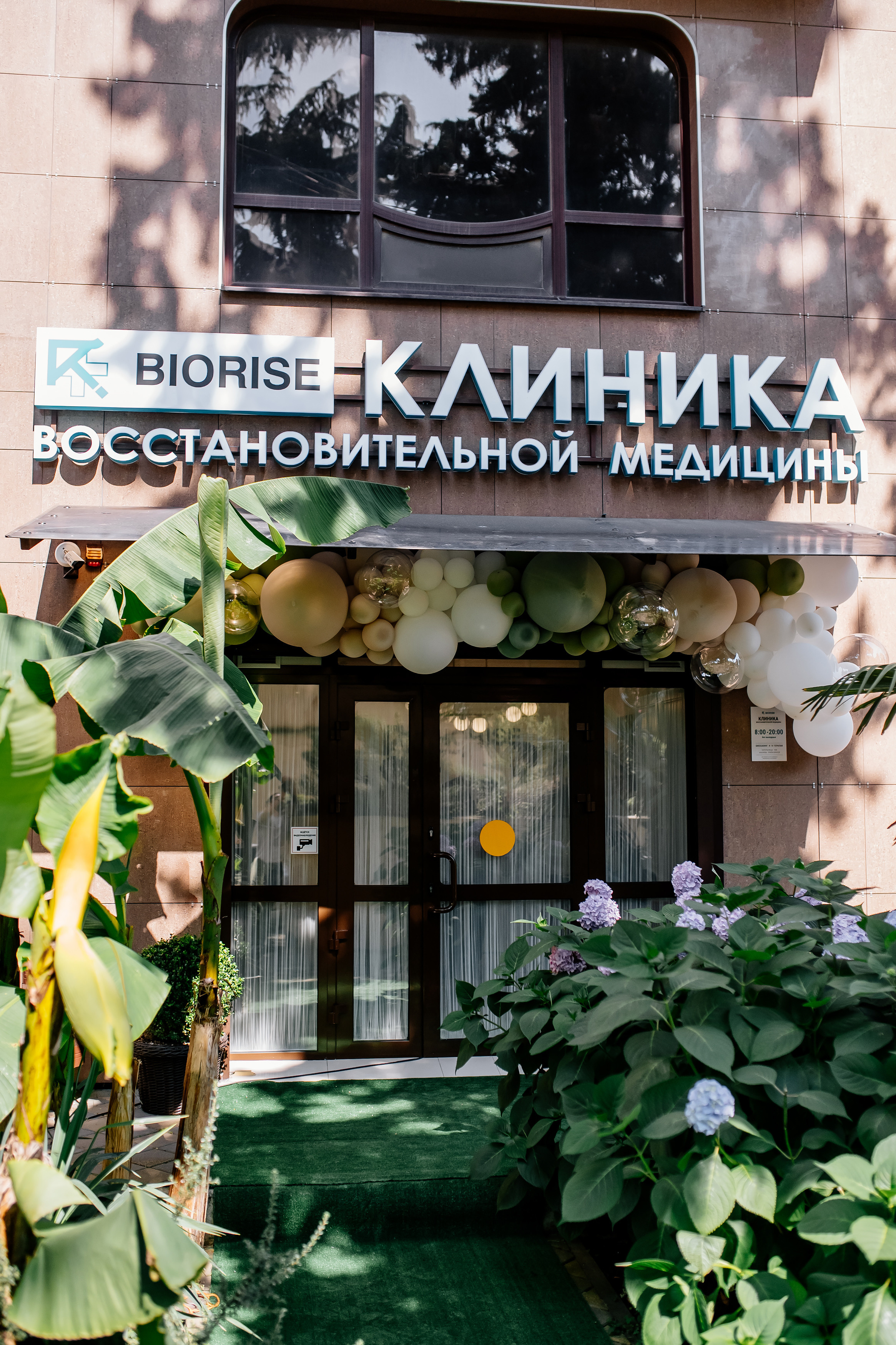 Клиника восстановительной медицины «BIORISE» | Открытие. Свадебный и семейный фотограф в Сочи Никита Пищов