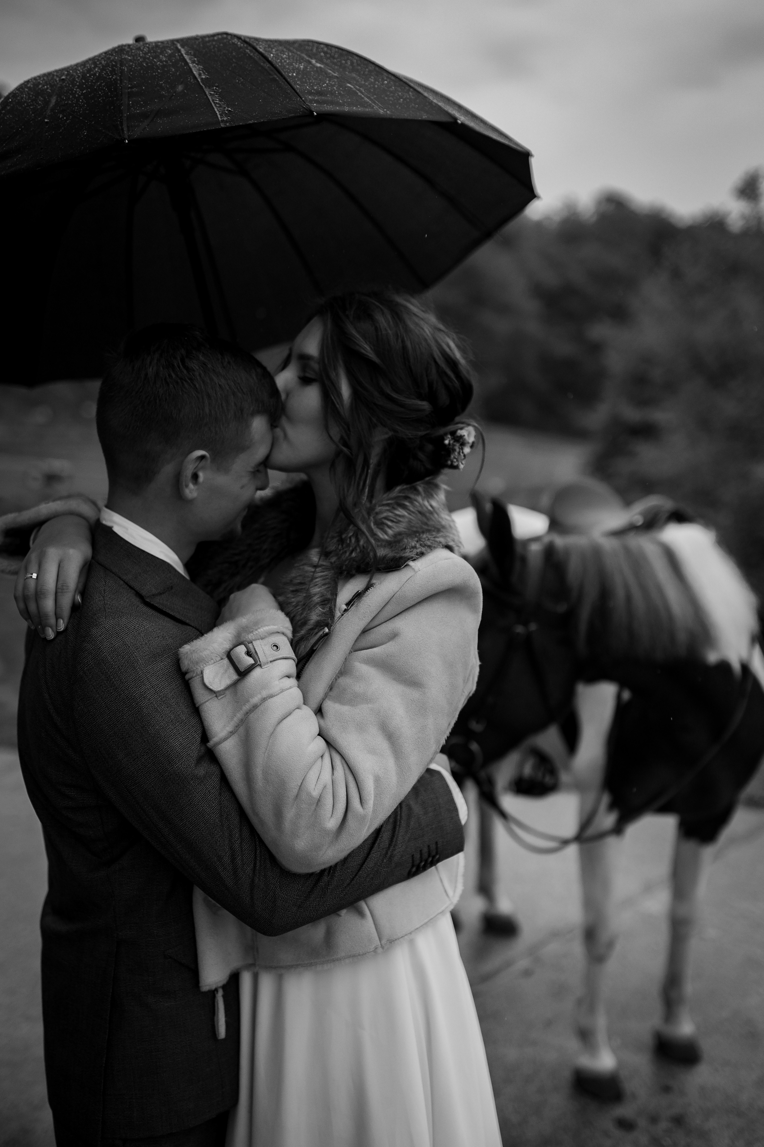 Свадьба на ферме «Экзархо». Свадебный и семейный фотограф в Сочи Никита Пищов