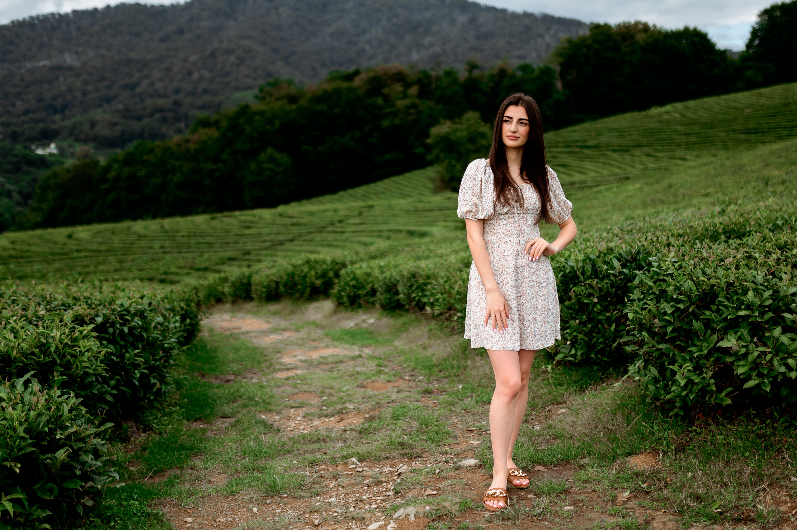 Женская фотосессия на Чайных плантациях. Свадебный и семейный фотограф в Сочи Никита Пищов