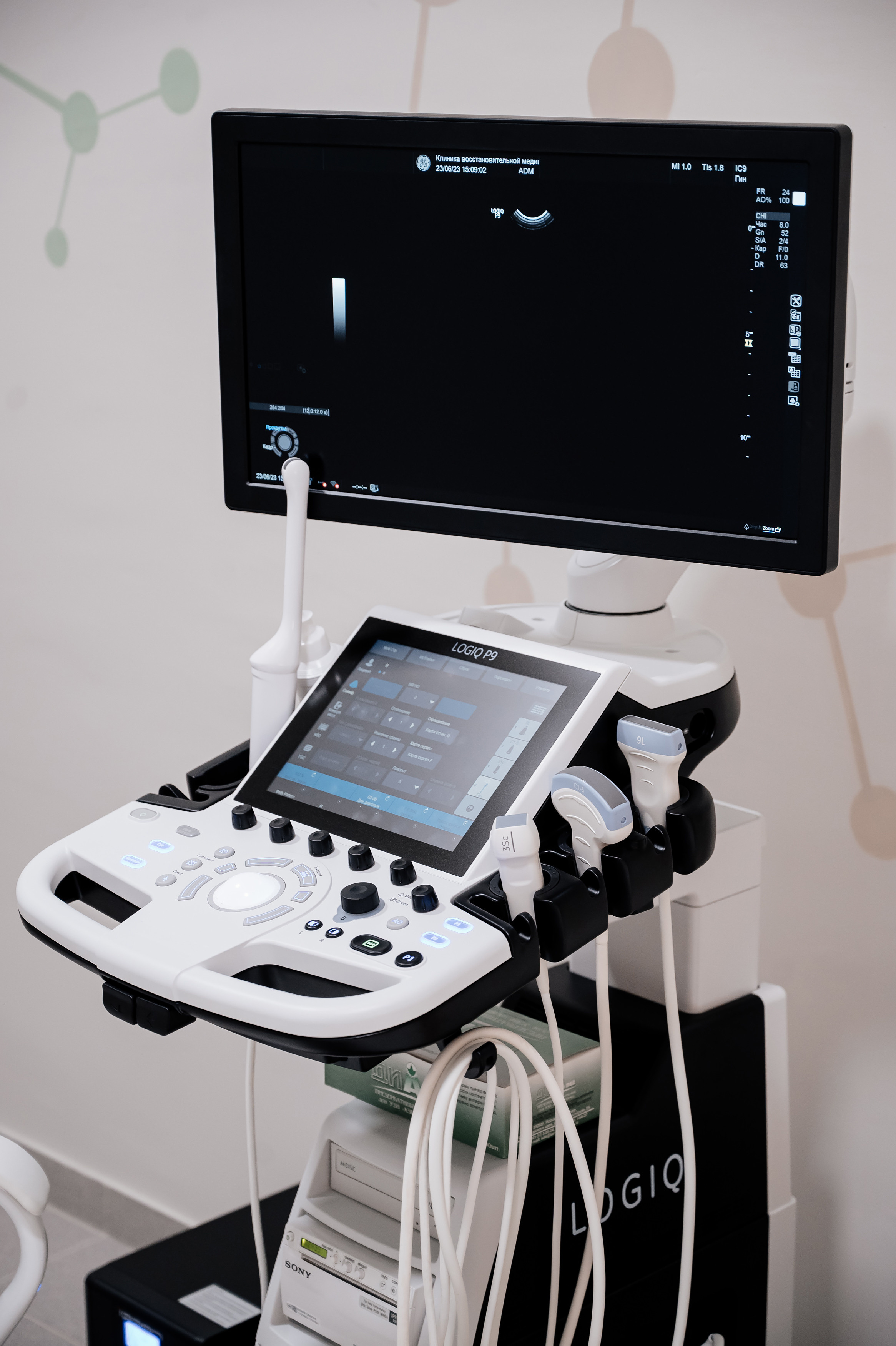 Клиника восстановительной медицины «BIORISE» | Открытие. Свадебный и семейный фотограф в Сочи Никита Пищов