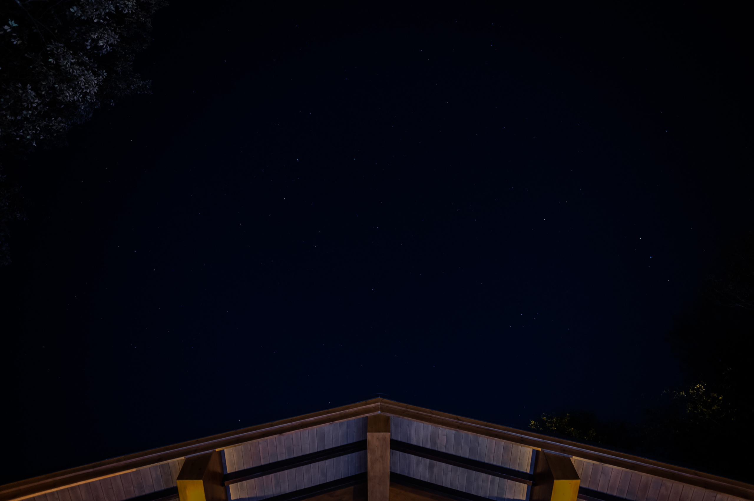 Экстерьер. Свадебный и семейный фотограф в Сочи Никита Пищов