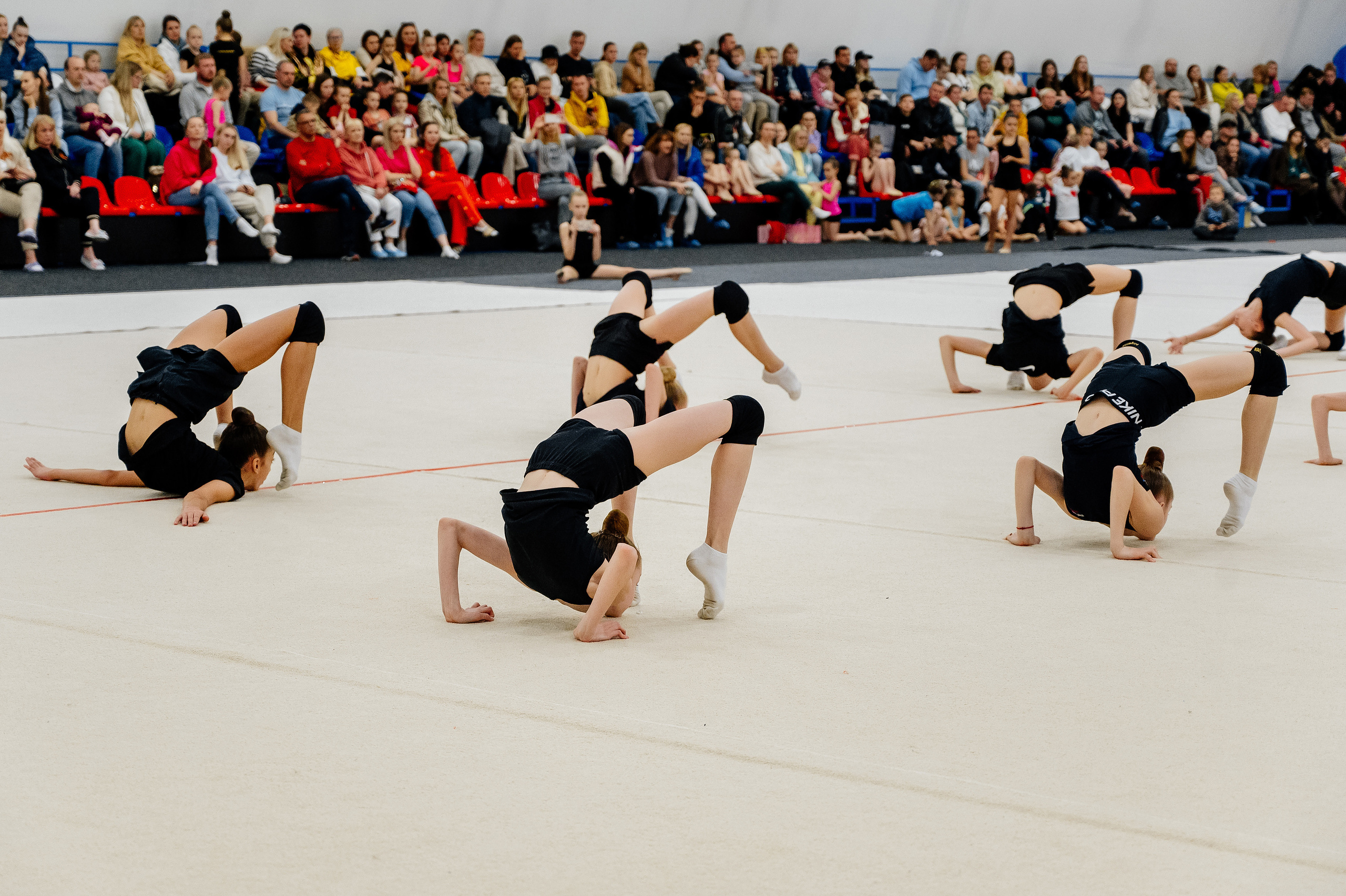 Художественная гимнастика. Свадебный и семейный фотограф в Сочи Никита Пищов