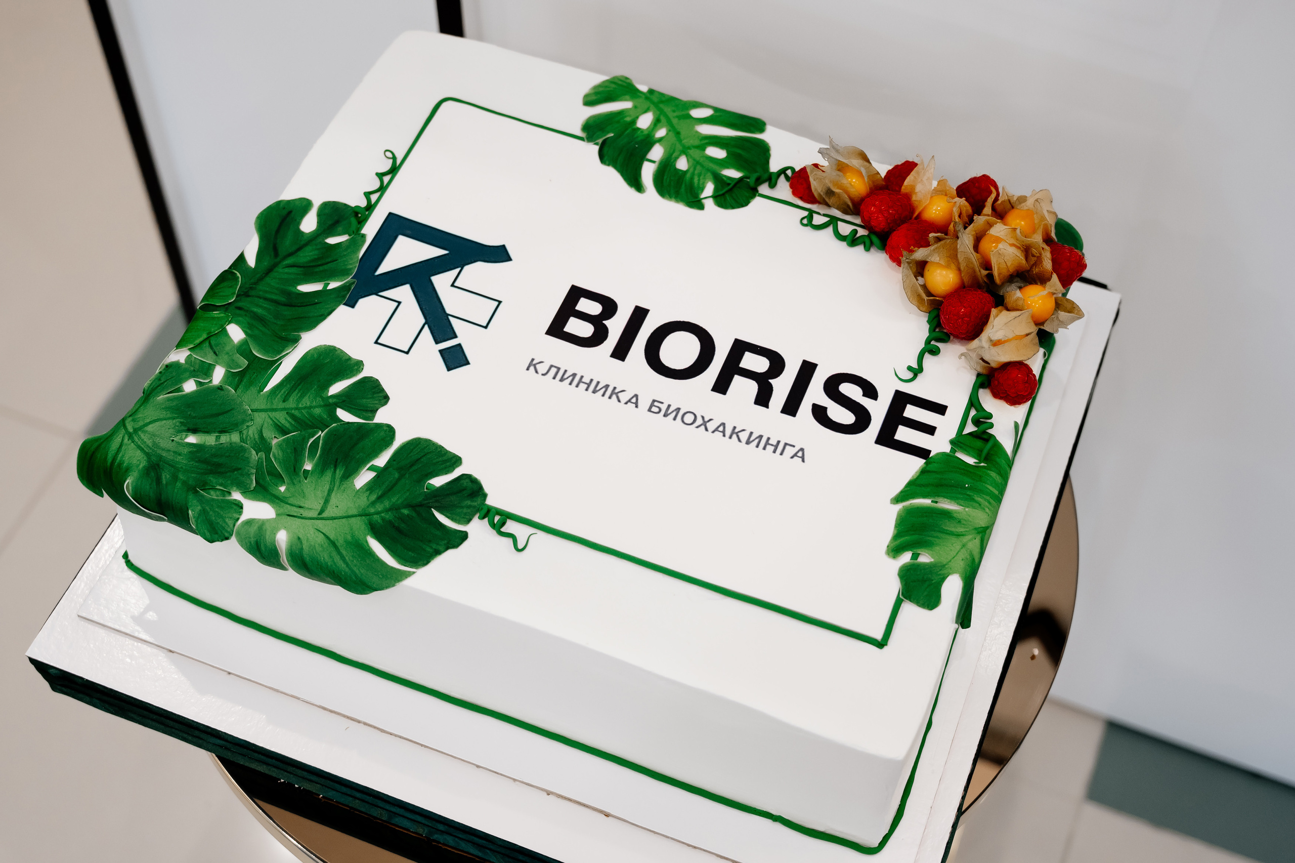 Клиника восстановительной медицины «BIORISE» | Открытие. Свадебный и семейный фотограф в Сочи Никита Пищов