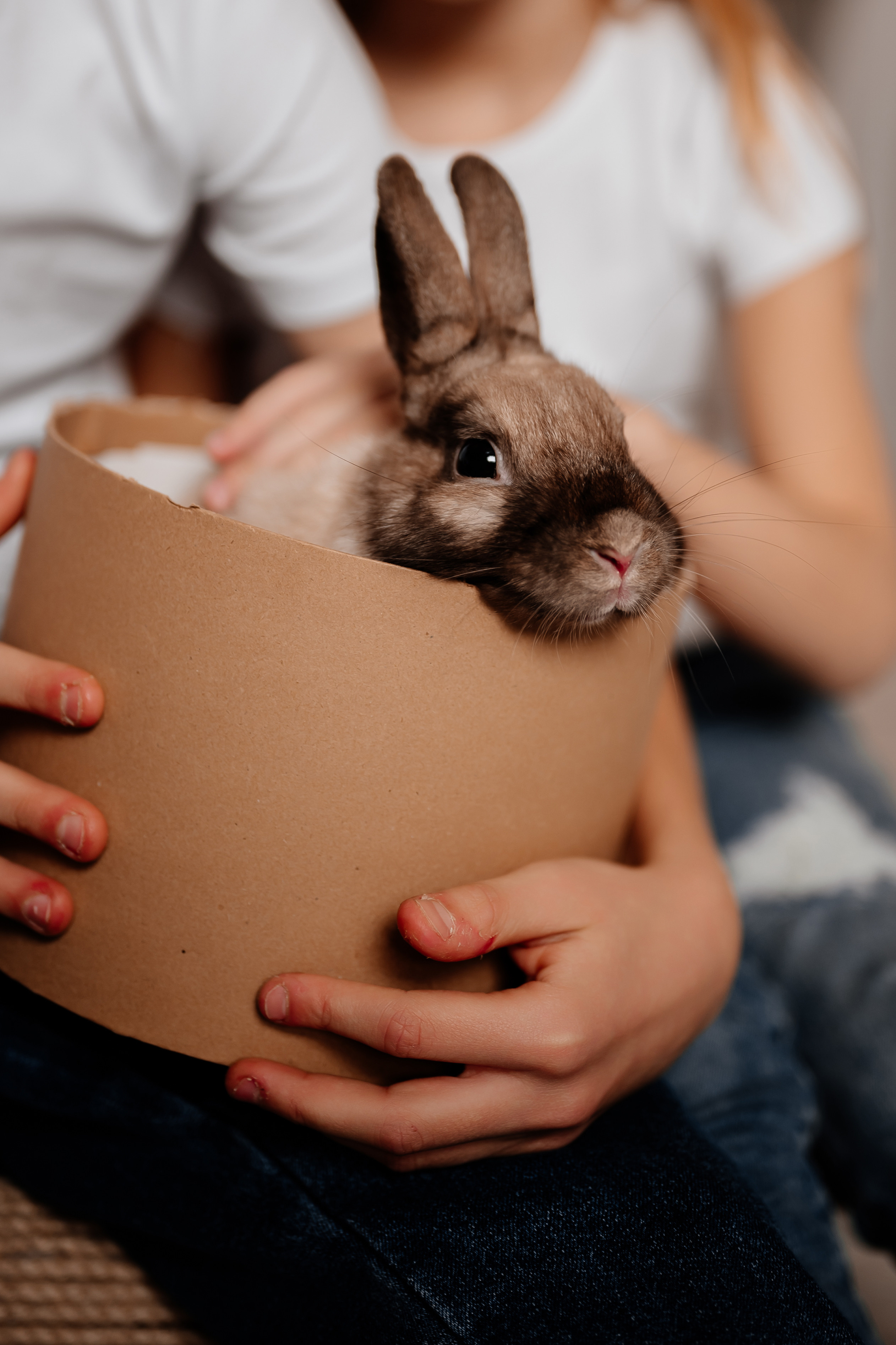 Новогодняя фотосессия. Свадебный и семейный фотограф в Сочи Никита Пищов