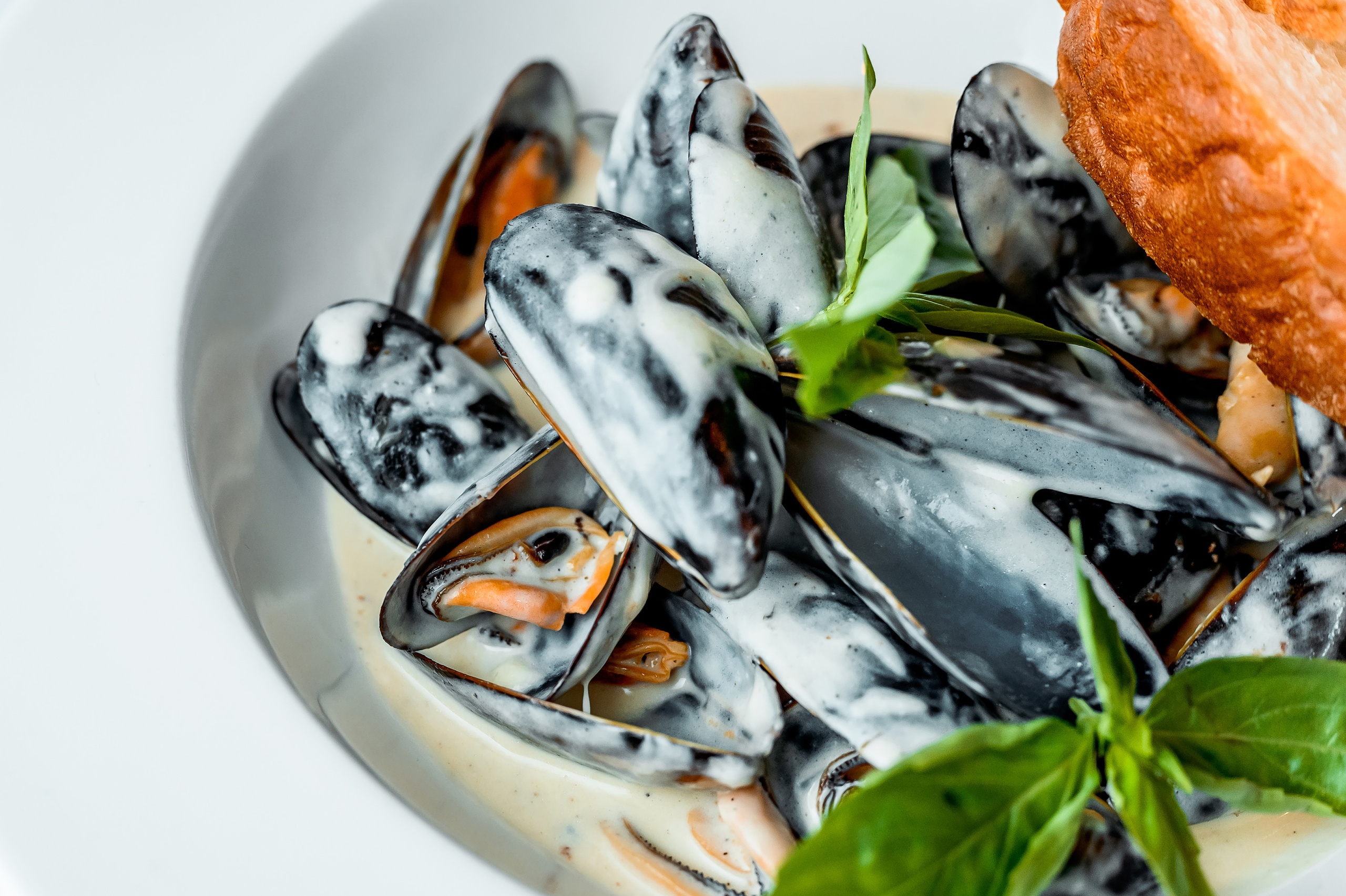 Trattoria540. Свадебный и семейный фотограф в Сочи Никита Пищов