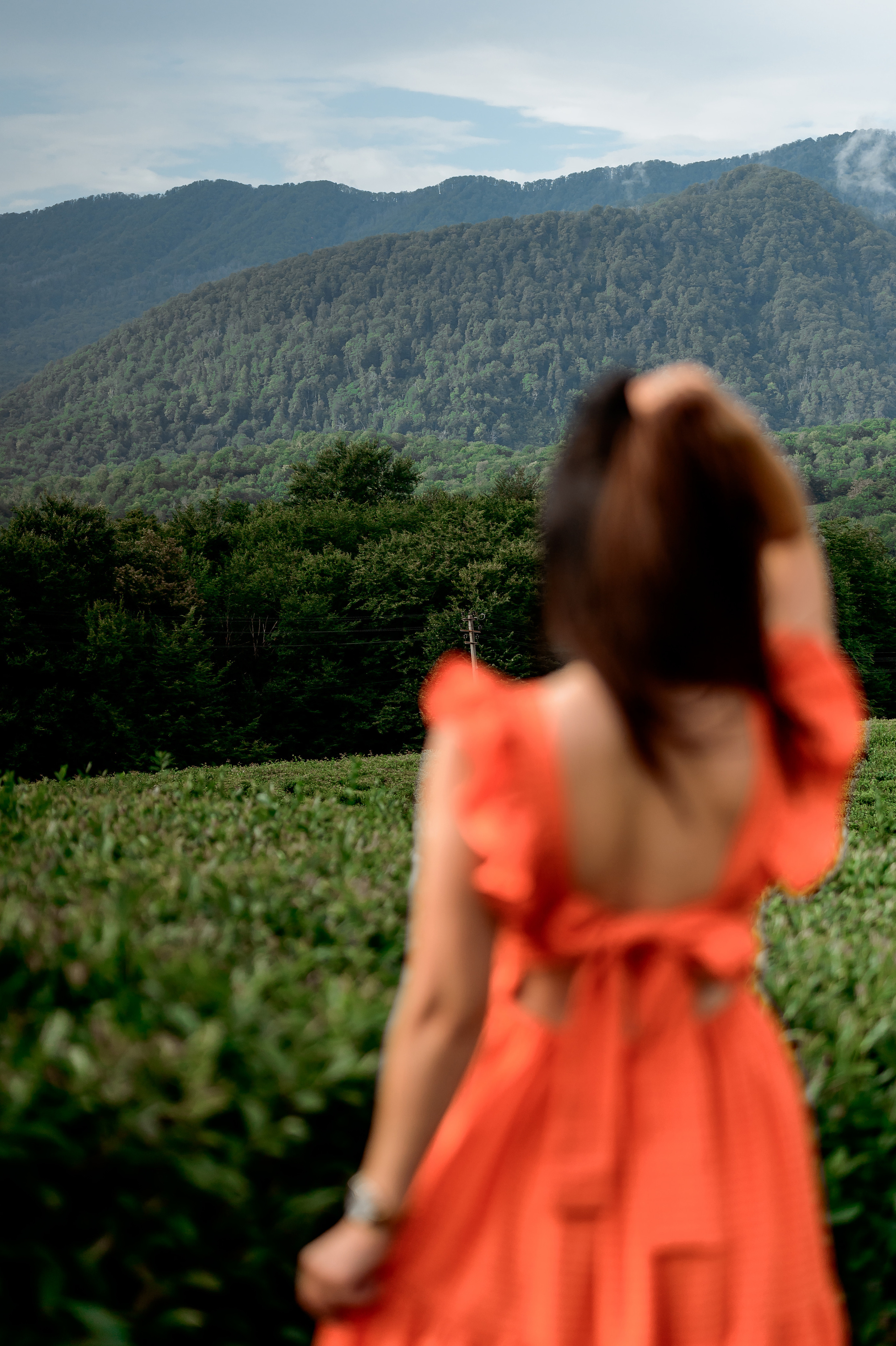 Женская фотосессия на Чайных плантациях. Свадебный и семейный фотограф в Сочи Никита Пищов