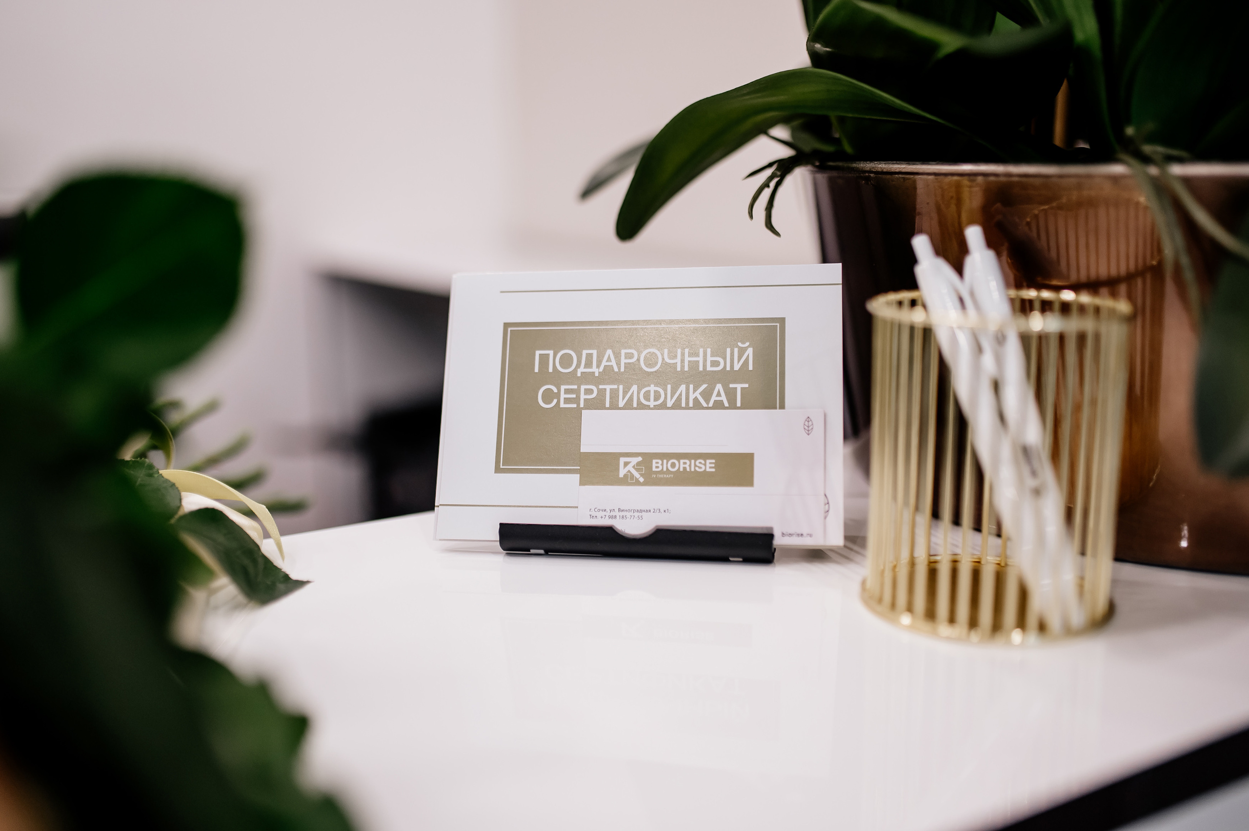 Клиника восстановительной медицины «BIORISE» | Открытие. Свадебный и семейный фотограф в Сочи Никита Пищов