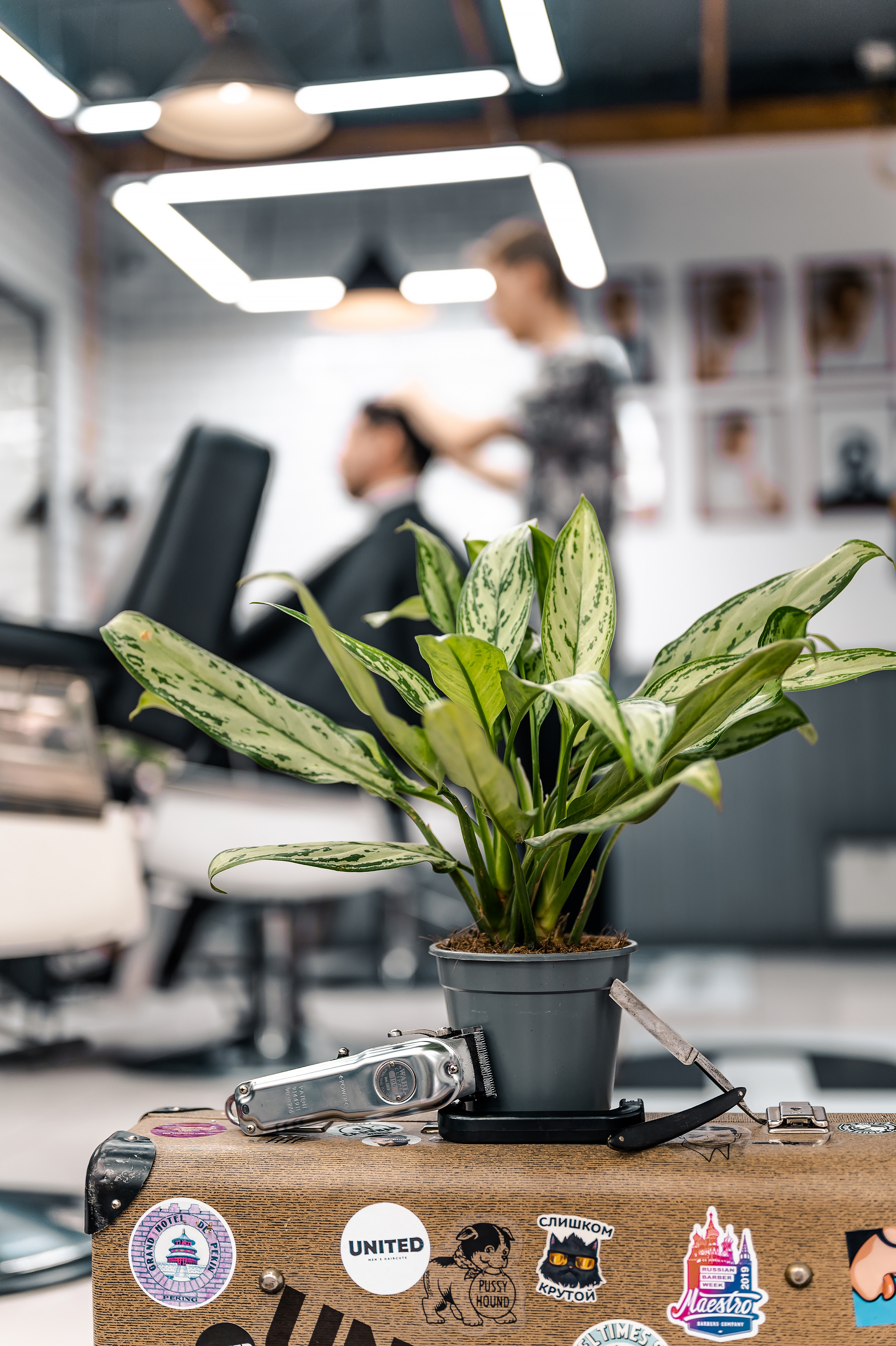 UNITED | Барбершоп. Свадебный и семейный фотограф в Сочи Никита Пищов