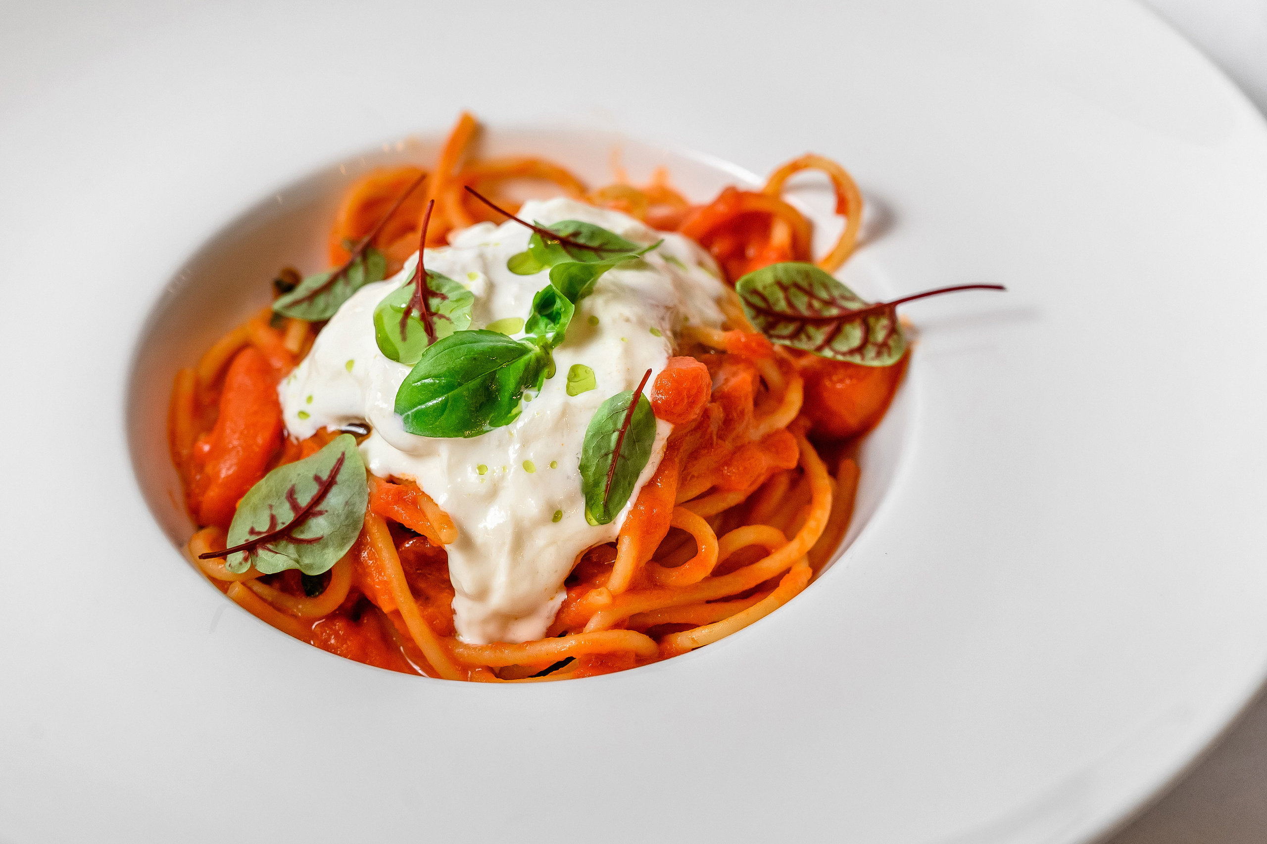 Trattoria540. Свадебный и семейный фотограф в Сочи Никита Пищов