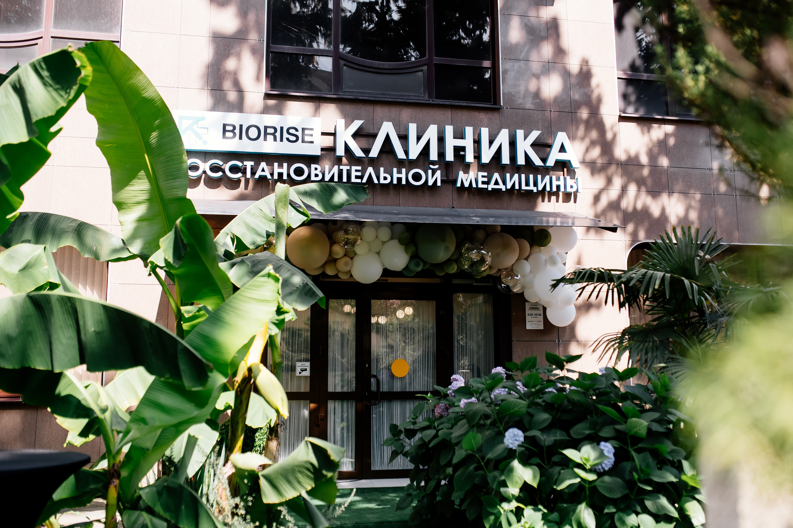 Клиника восстановительной медицины «BIORISE» | Открытие. Свадебный и семейный фотограф в Сочи Никита Пищов