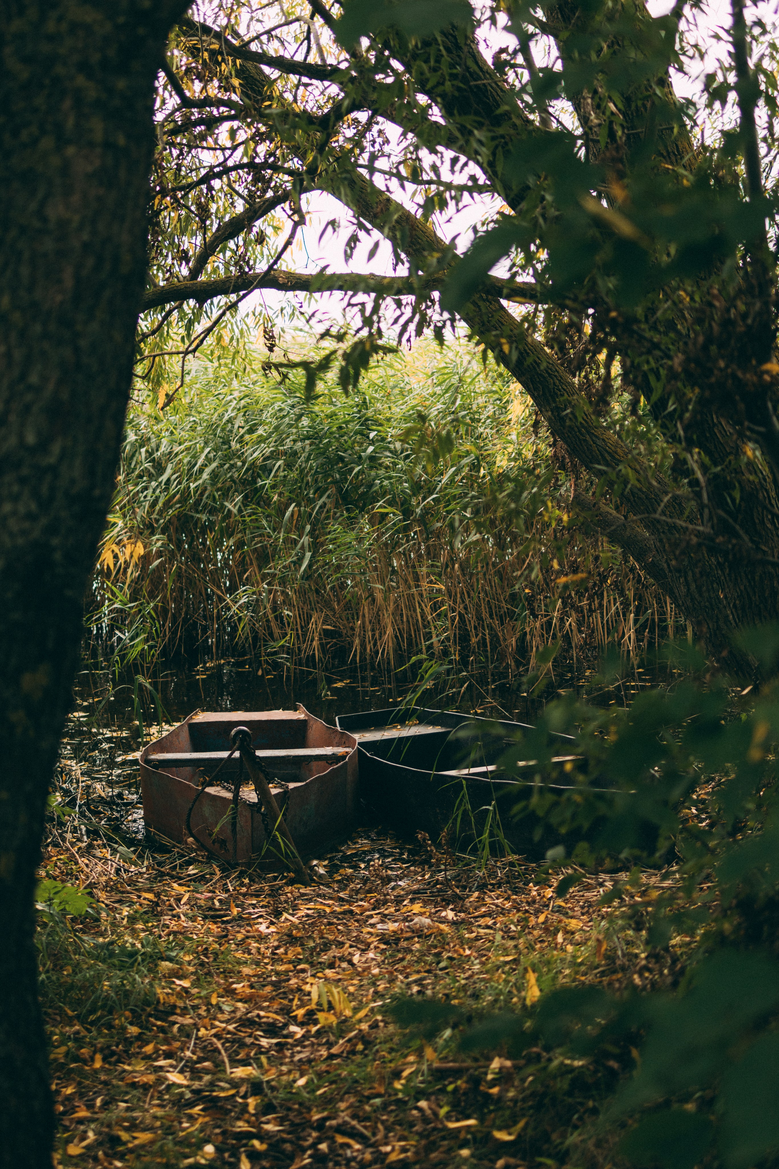 Главное процесс, а не улов. Фотограф Ирина Панина