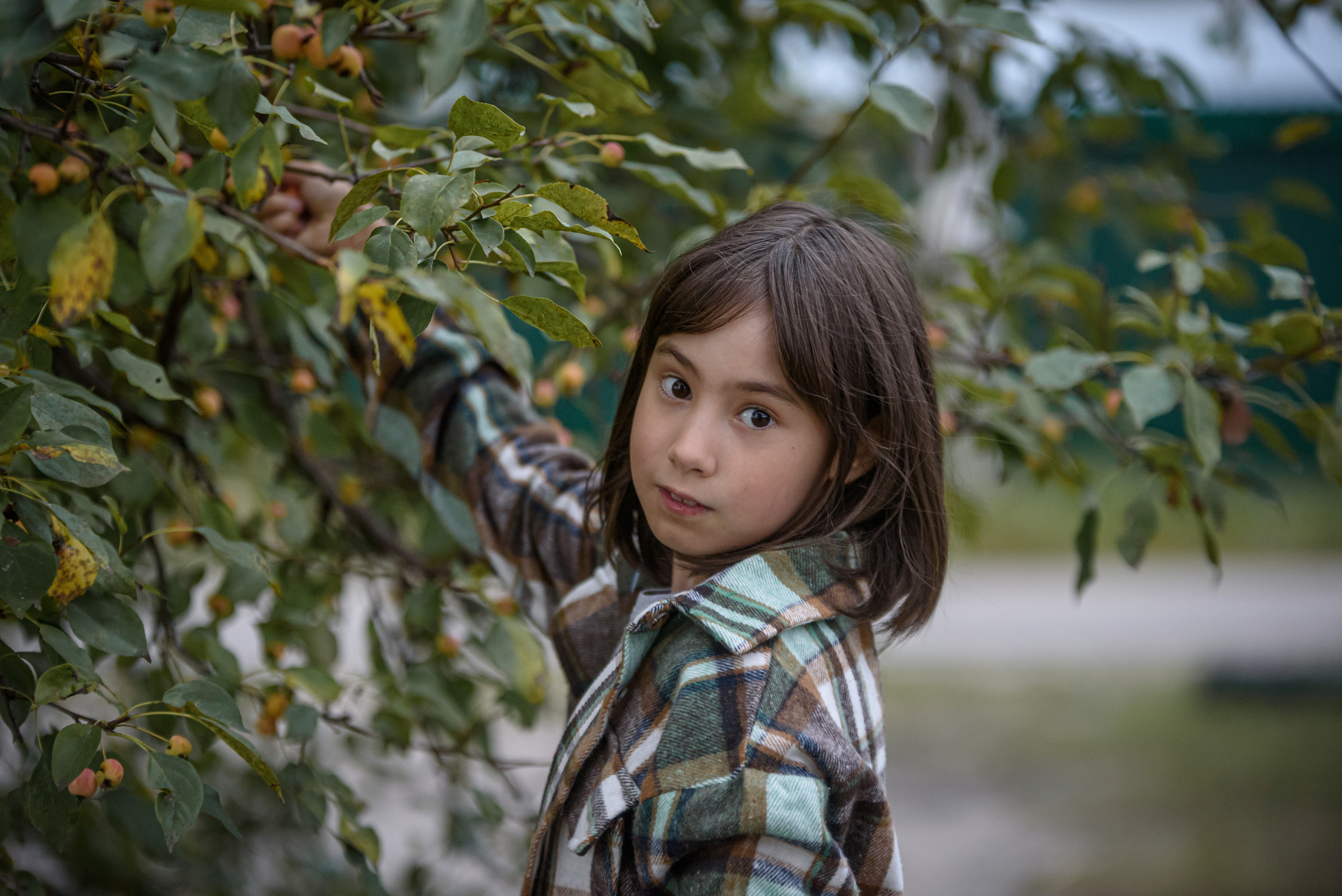 Мой цветочек Лилечка. Мотофотограф в Нижнем Новгороде Динара Зуйкова