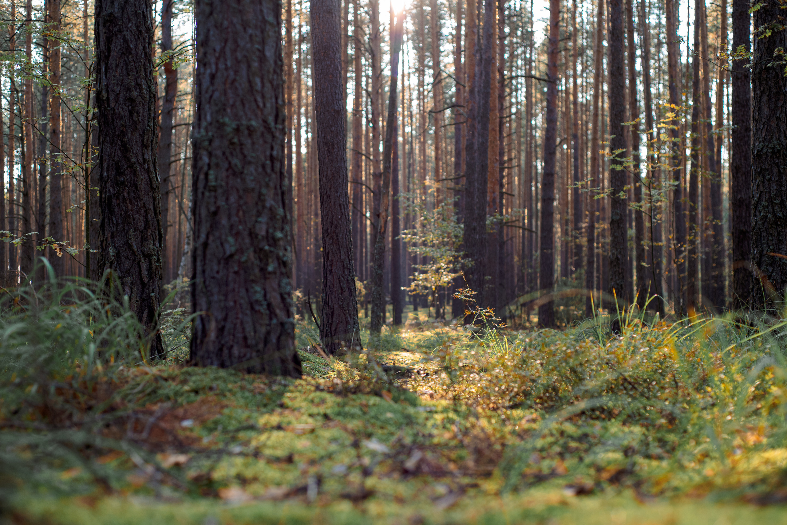 Природа. Мотофотограф в Нижнем Новгороде Динара Зуйкова