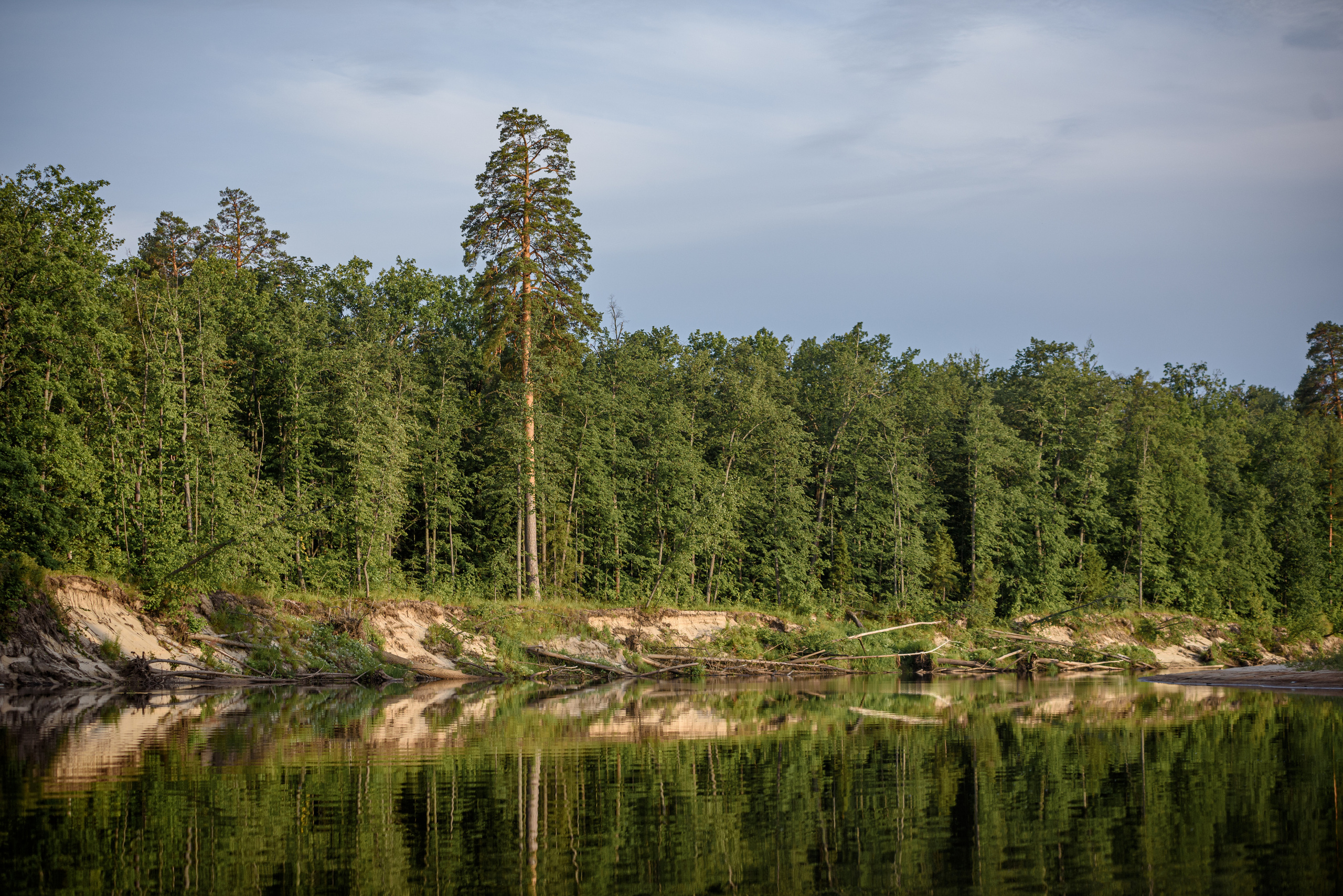Природа. Мотофотограф в Нижнем Новгороде Динара Зуйкова