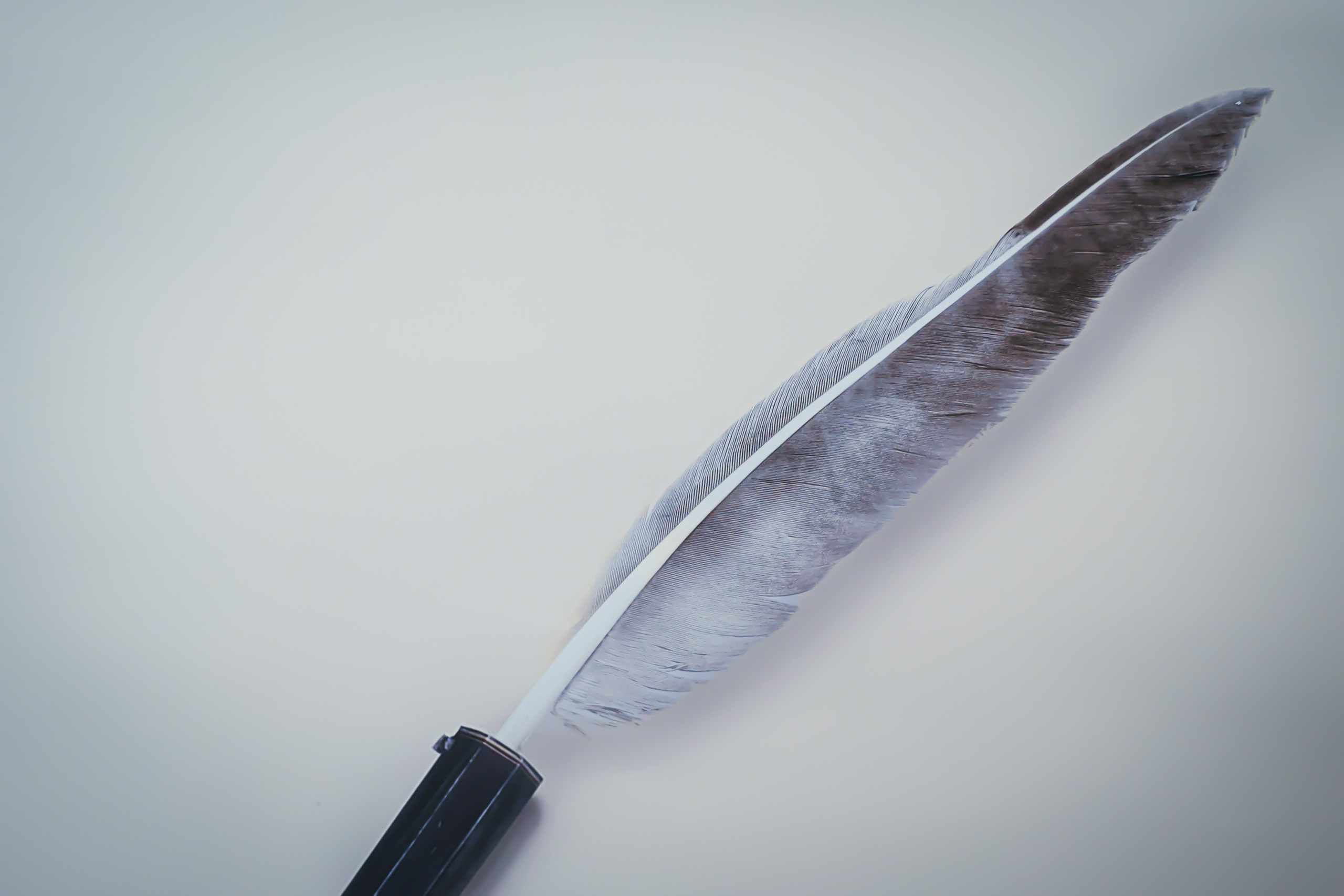 GOLDEN BEE TIAM. Фотограф и визуальный художник в Туле / Николай Рейзвих