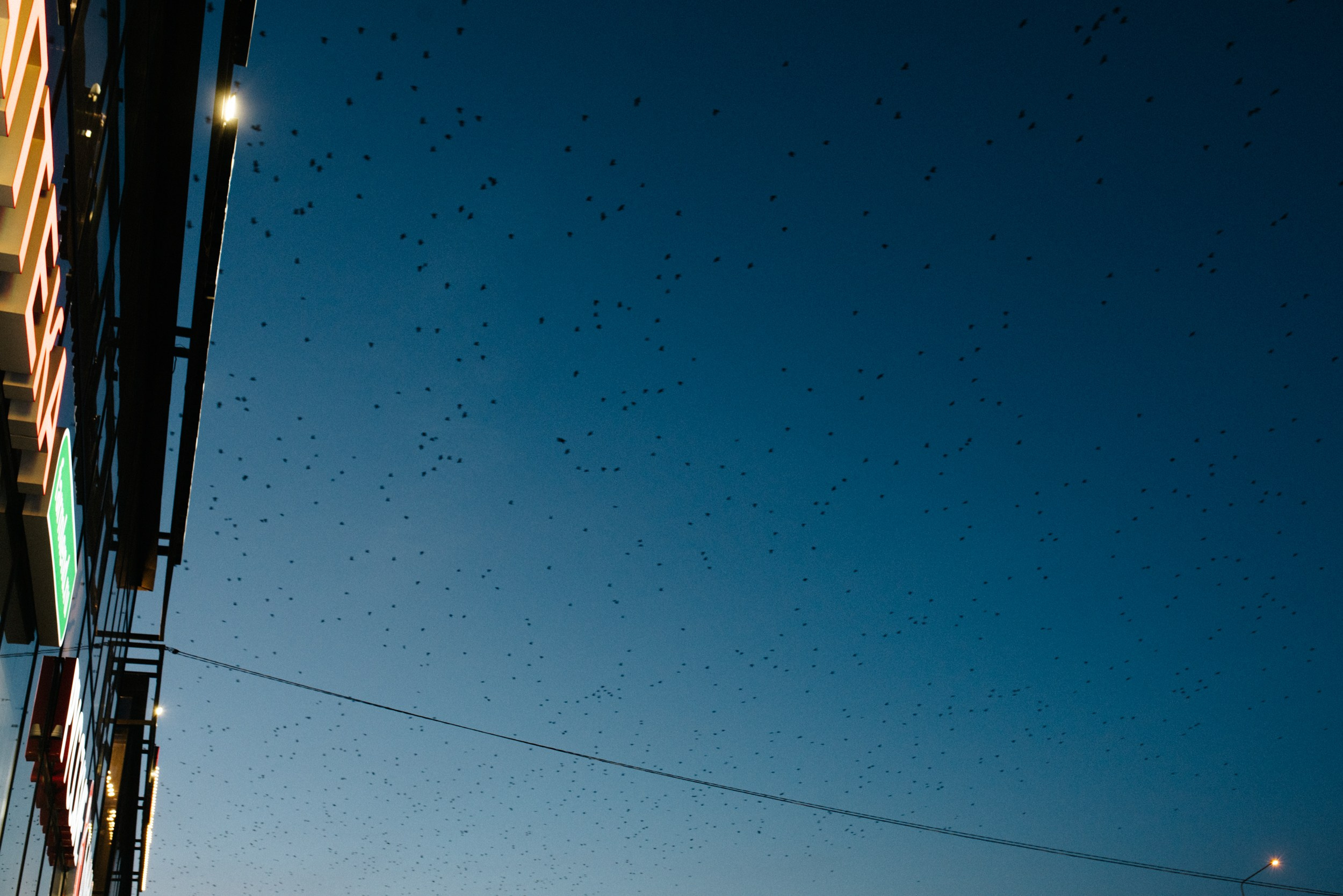 Винотека Dodici. Портретный и репортажной фотограф Алексей Волков. Москва, Оренбург