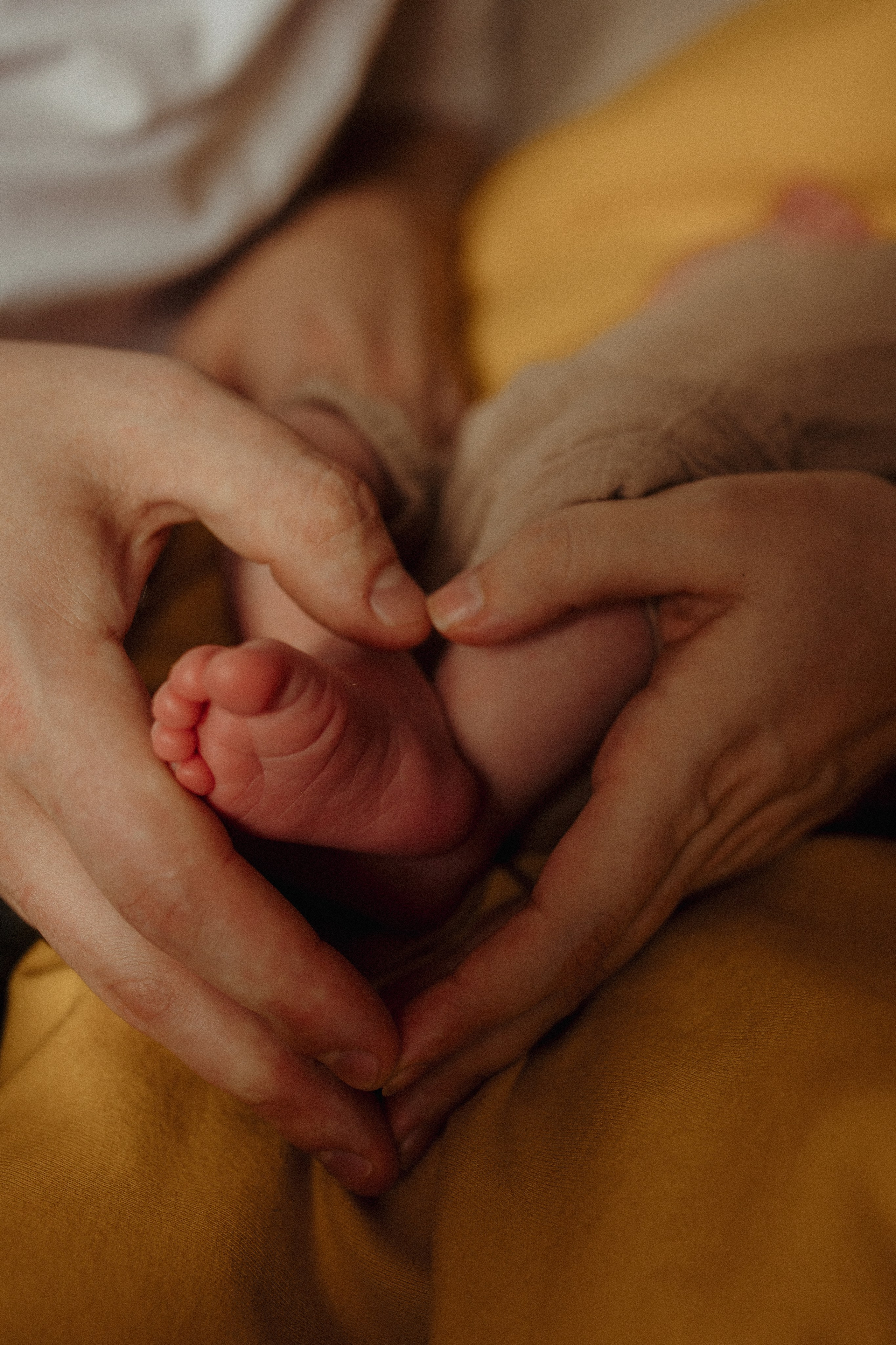 Варенька. Семейный и Свадебный фотограф в Санкт-Петербурге Плохая Екатерина